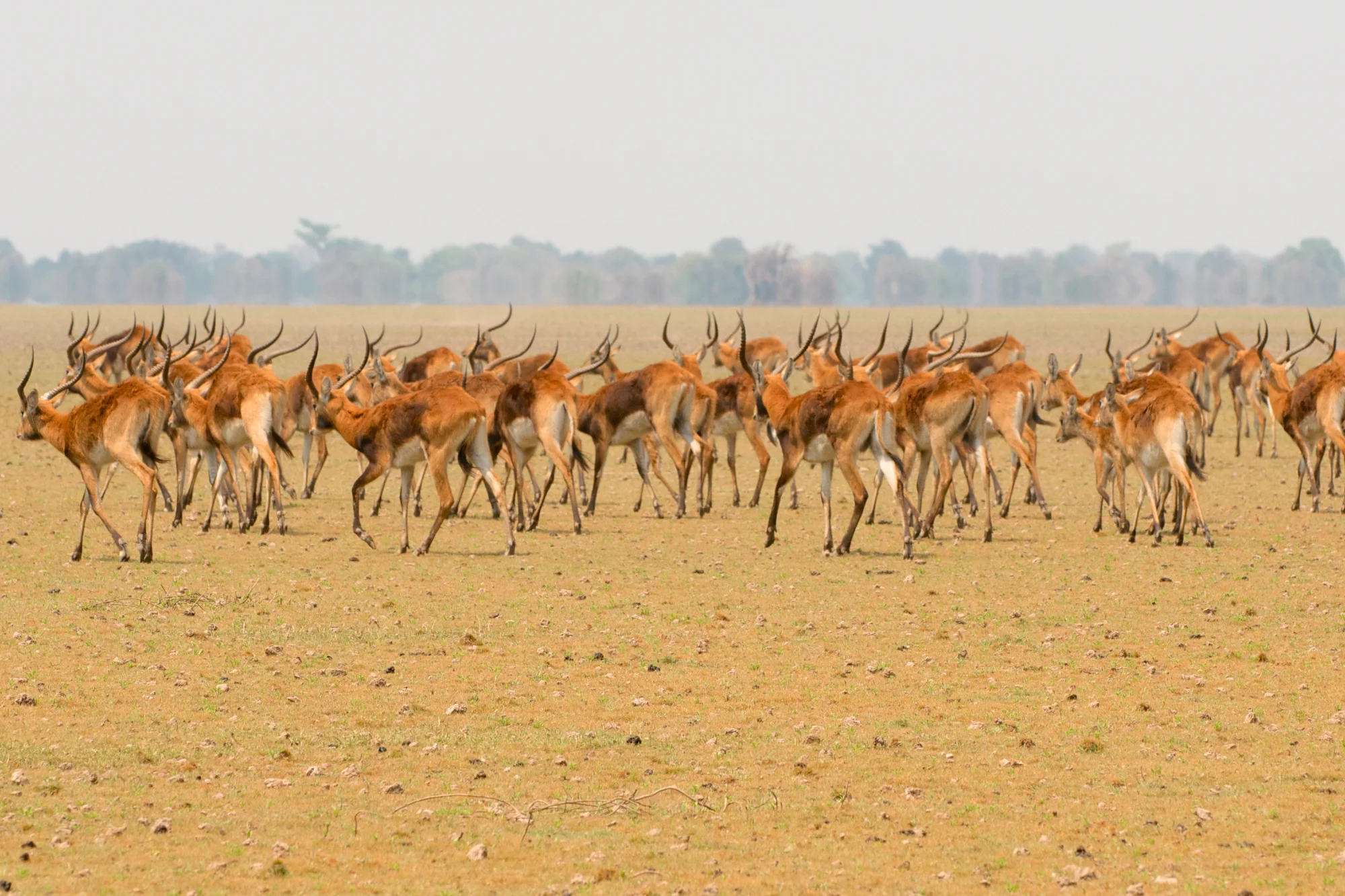 Zambia_11_0963.jpg