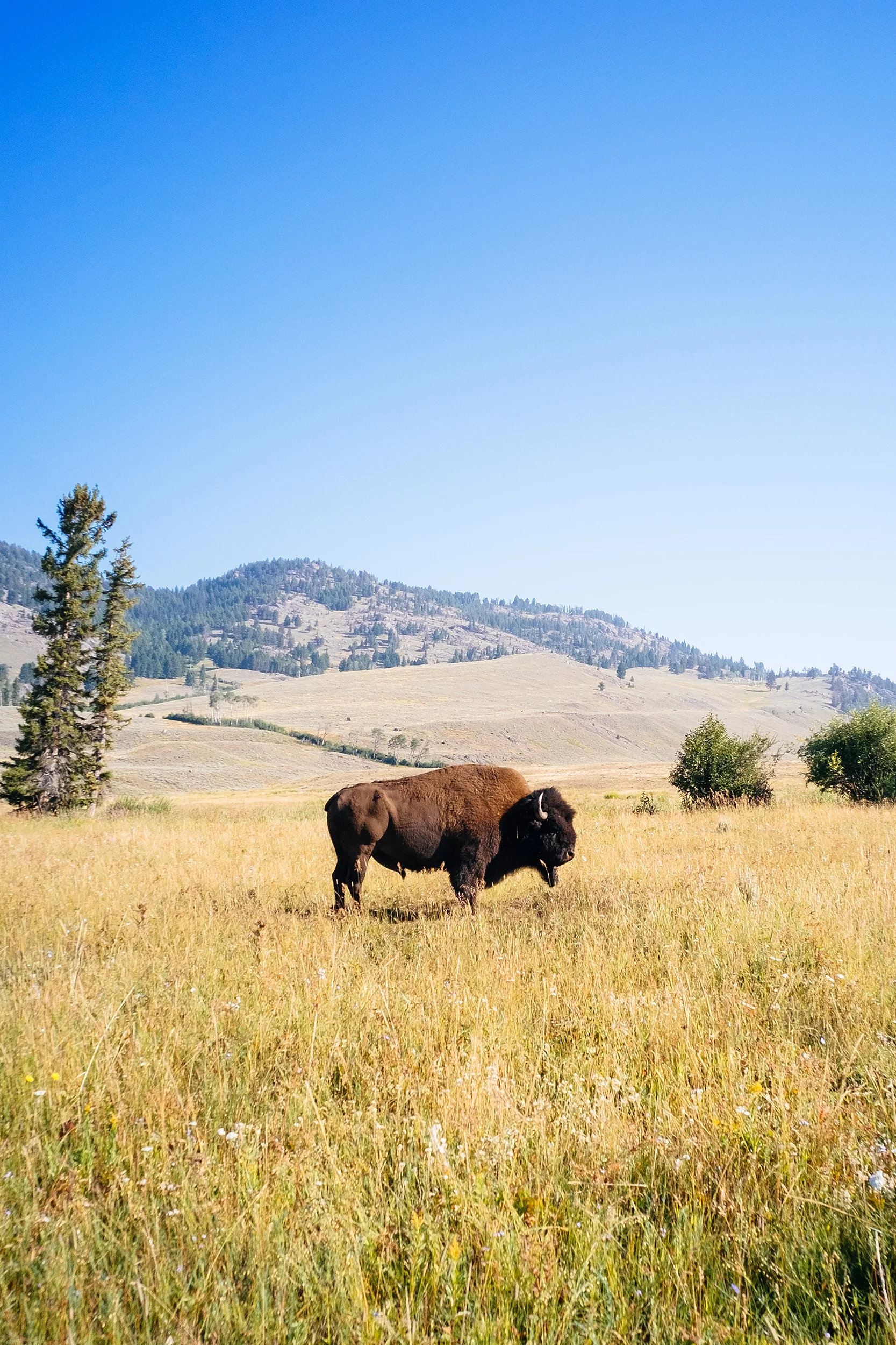 Montana_2014_0919.jpg