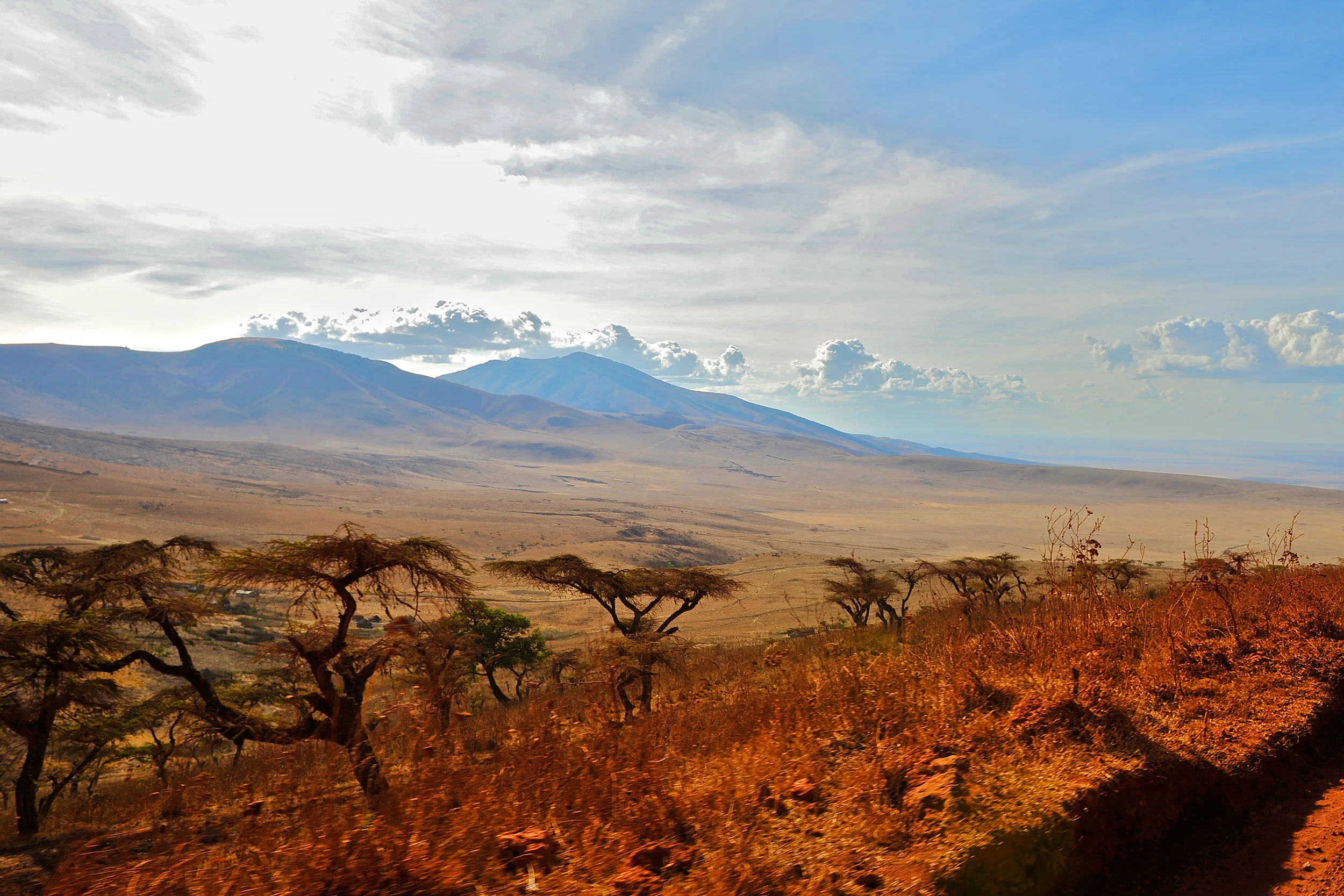 Ngorongoro_140.jpg