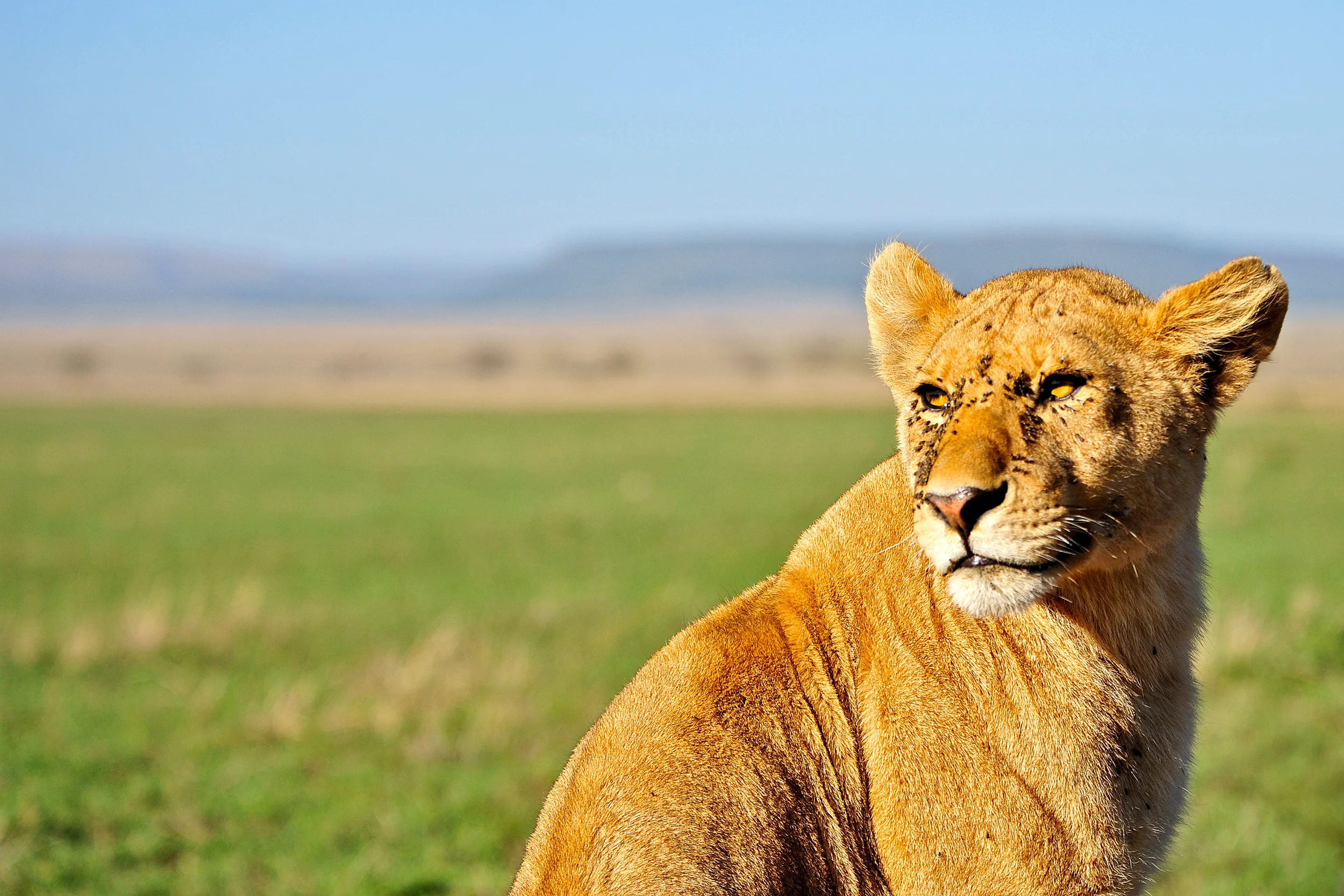 Serengeti_191.jpg