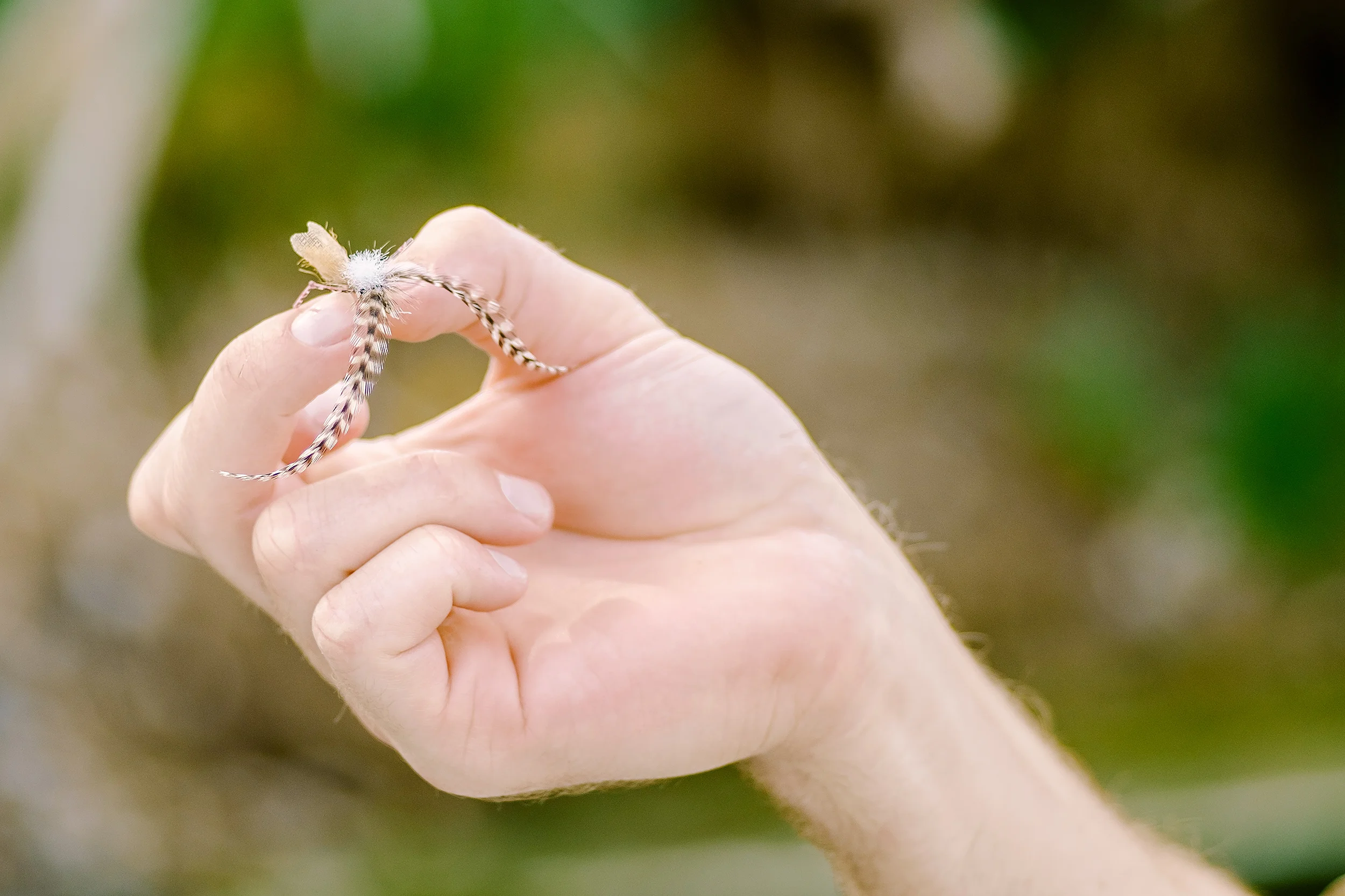 2014_MT_Flyfishing_TS_1247.jpg