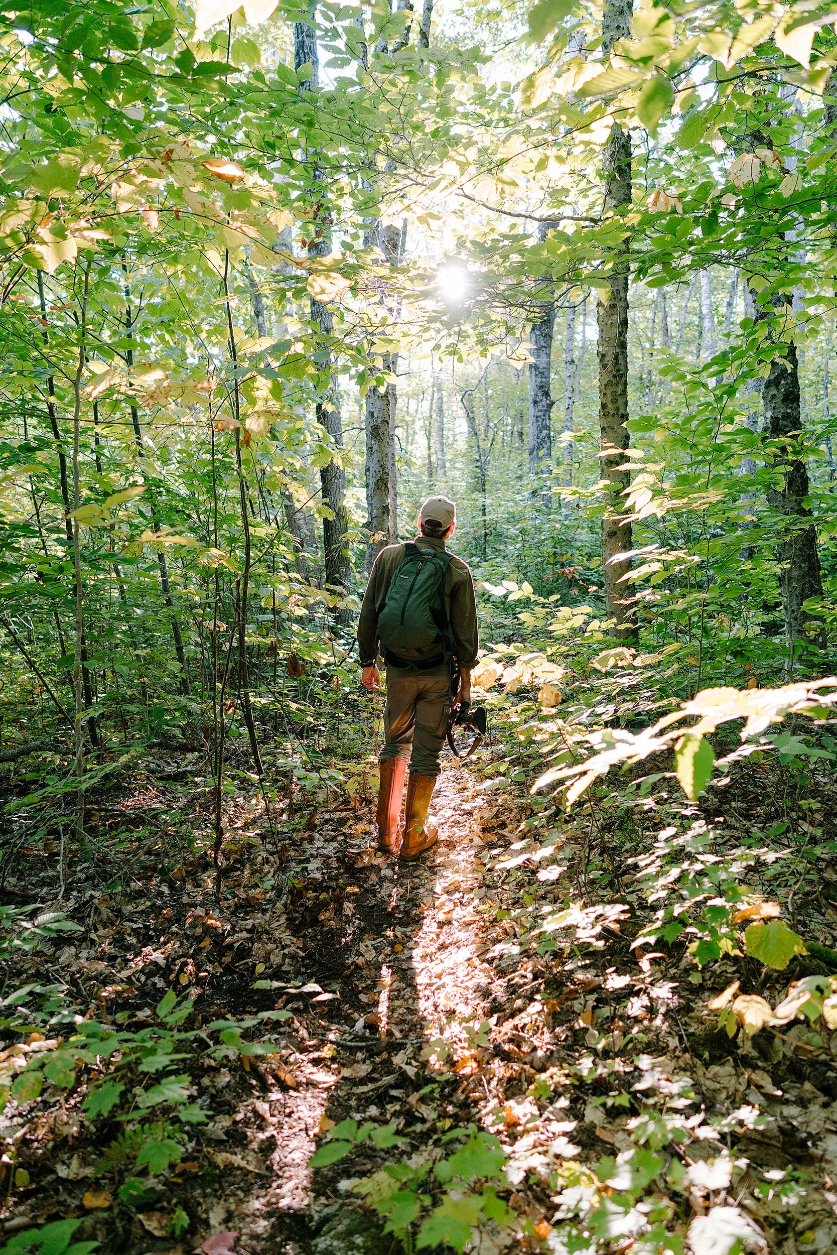Maine_Bear-2016_0367.jpg