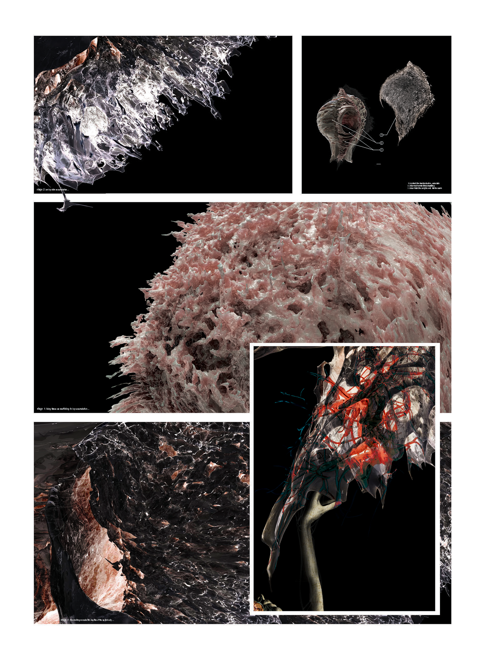 SAUNDERS-3-Details.png