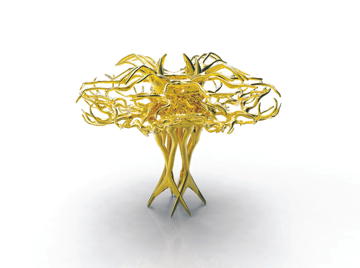 Haute-Vasculature-2.jpg