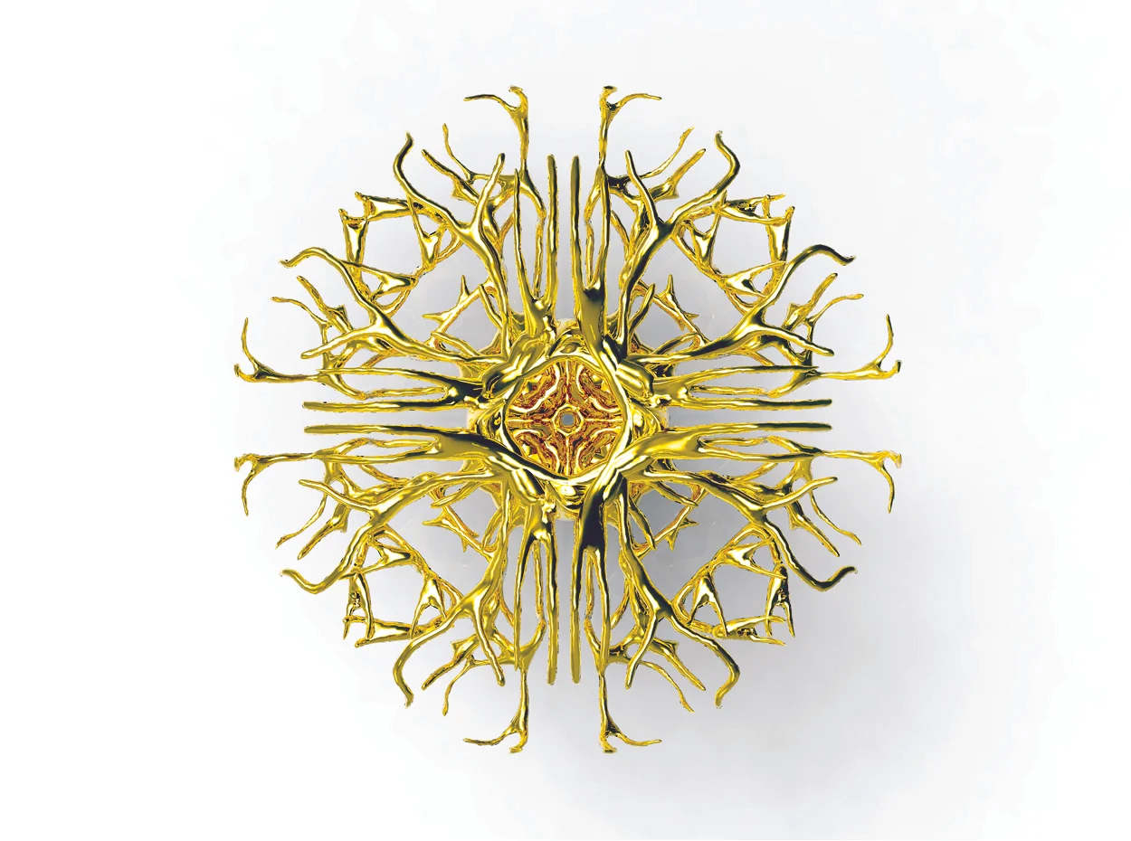 Haute-Vasculature-3.jpg