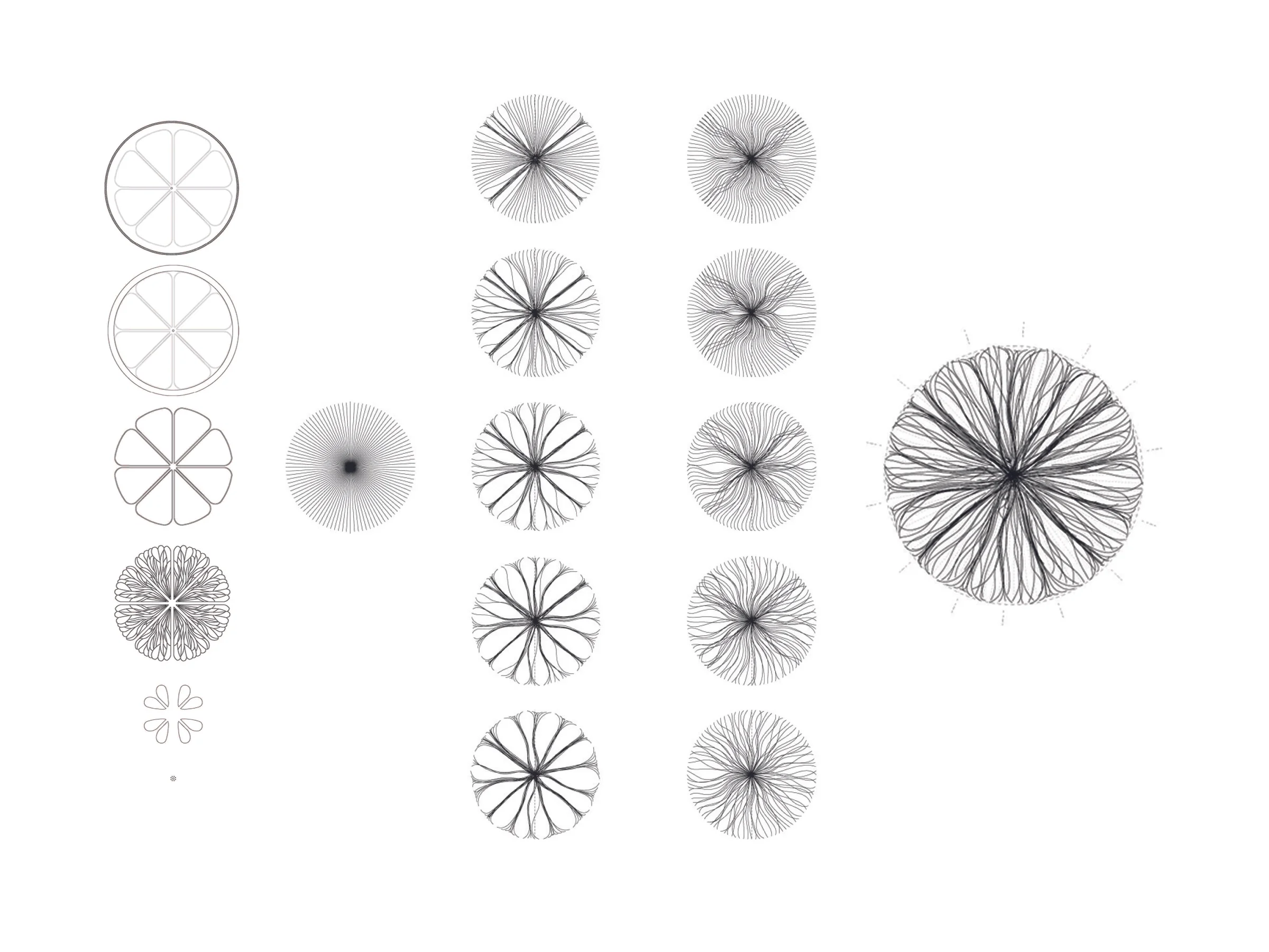 Lemon-Ref+Process-5.jpg