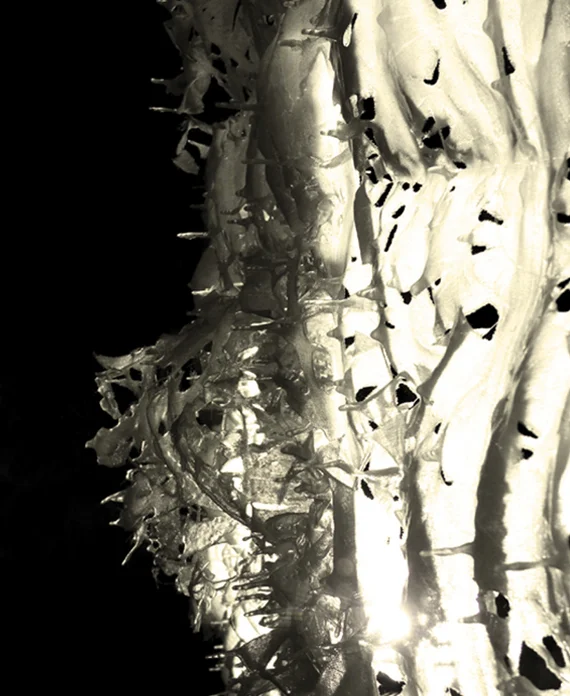 SNAPSHOT_lemon-closeup.jpg