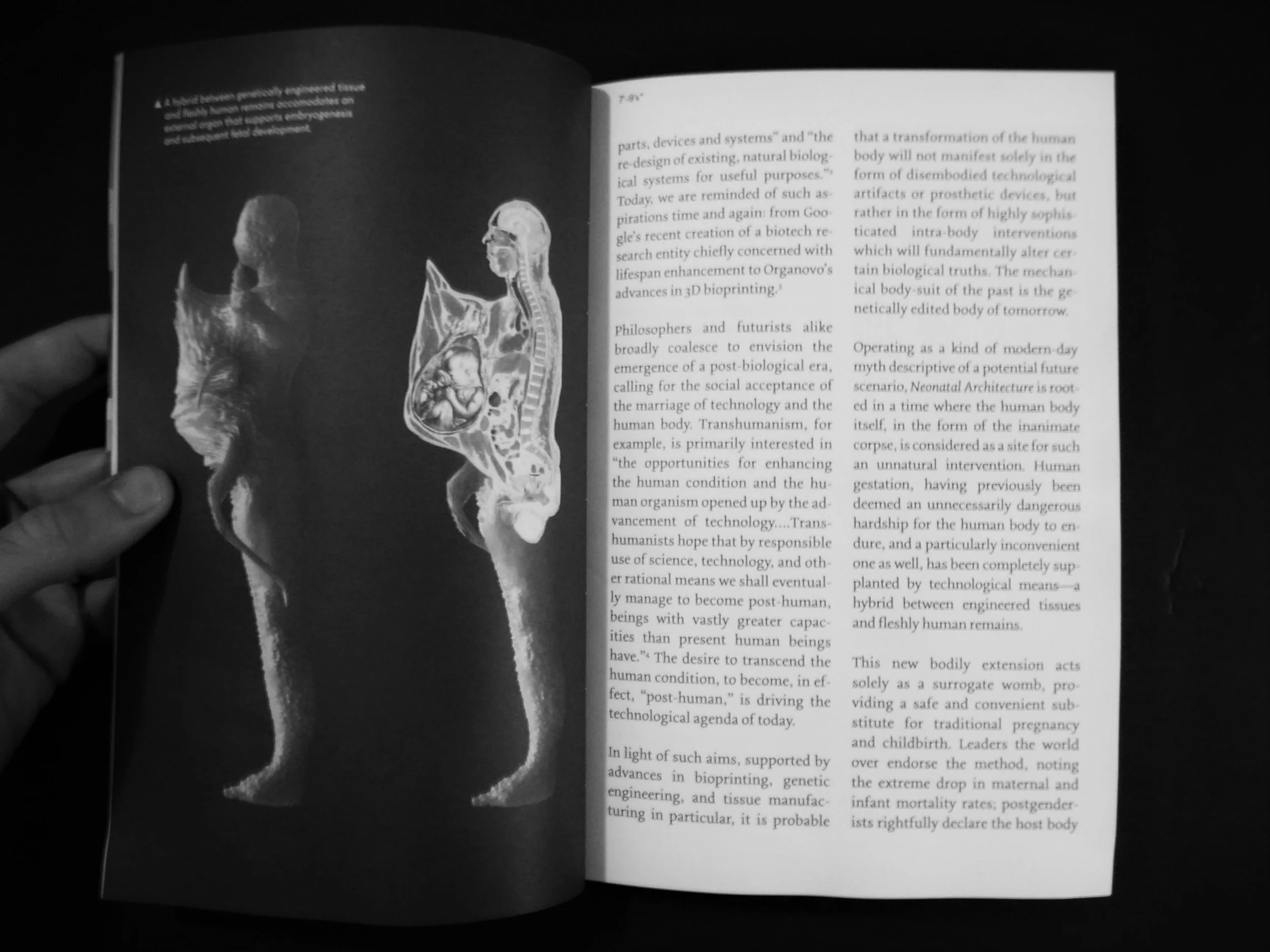 P1150891 - Copy.JPG
