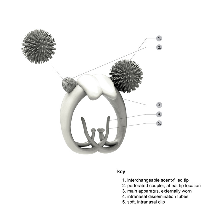 V1-AXON+Annotation.jpg