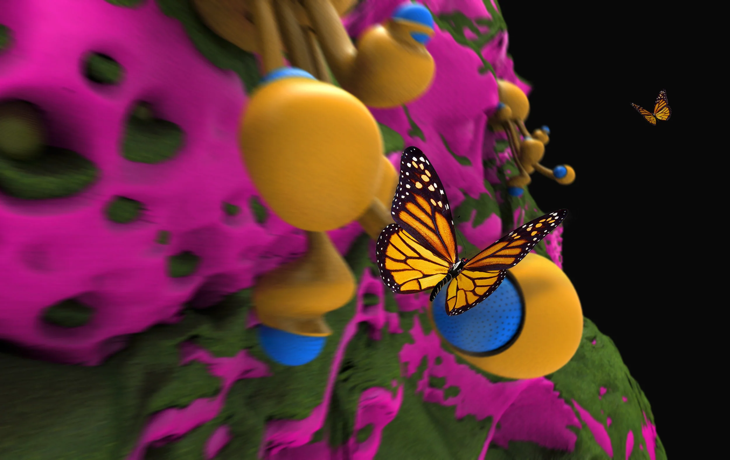 Bio-Wall+Feeder.134_NEW+BUTTERFLIES.jpg