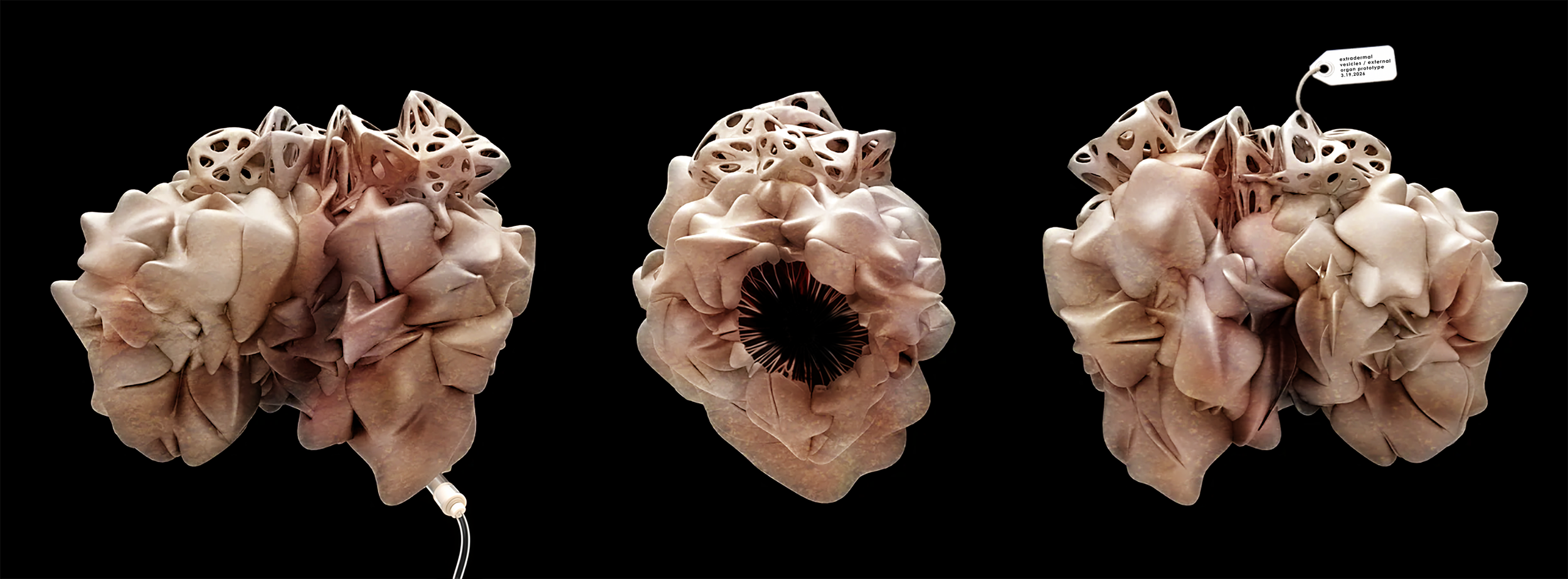 detail elevs NEW.png