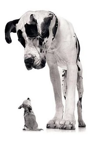 Size Matters.jpg