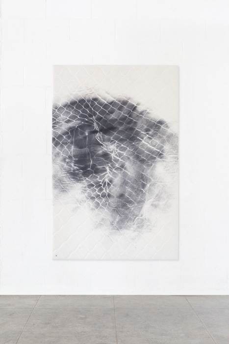 Secret Feelings... 2014 Latex and acrylic on fabric 44 x 68 inches