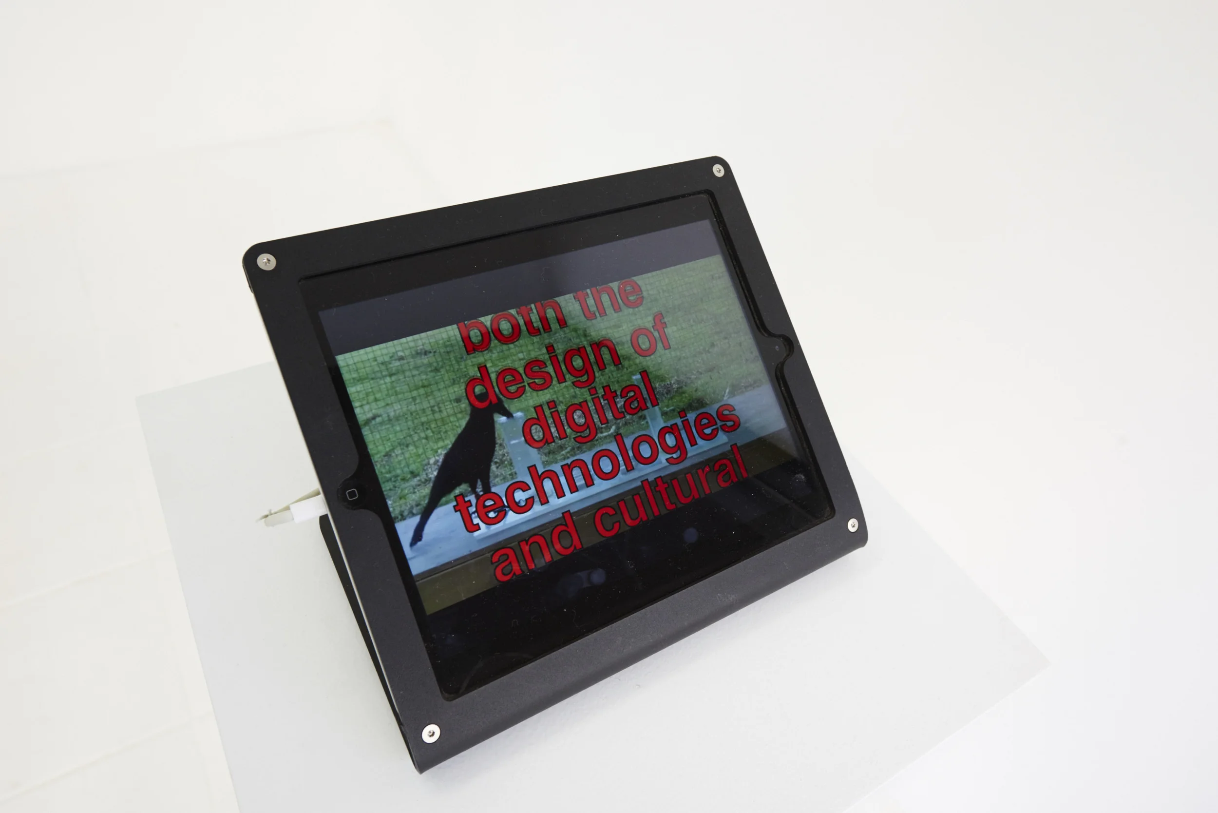 Lucy Chinen For women who love bees, and raven brains , 2016 Digital video Edition 1 of 5 + 1AP 