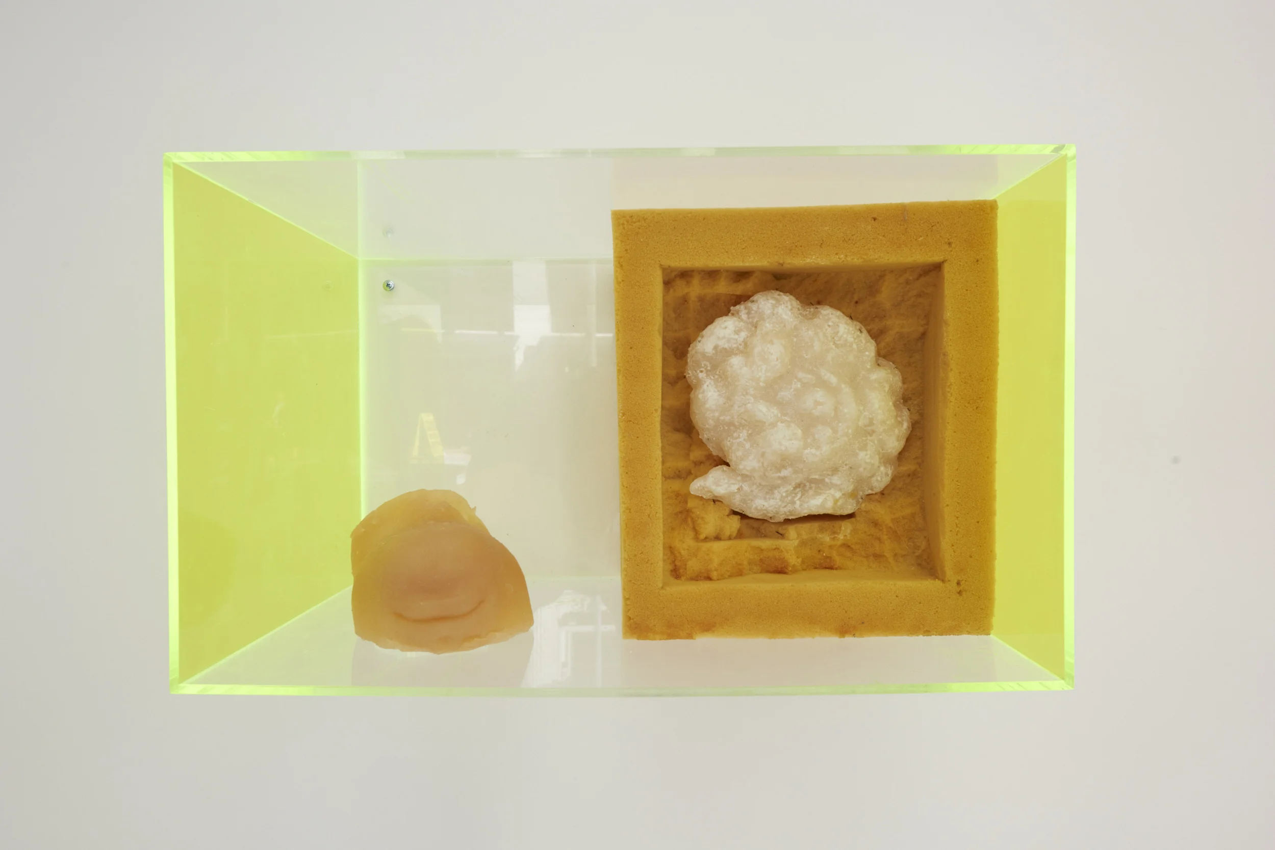 Whitney Vangrin Soft Jaw , 2013 DragonSkin silicone rubber, salt, upholstery foam, Plexiglas 20 x 12 x 12 in