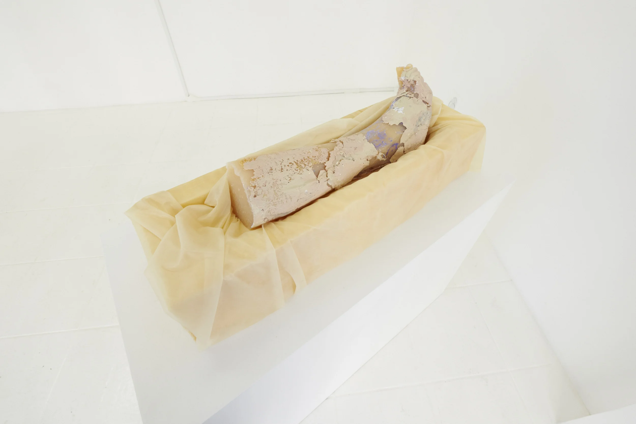 Whitney Vangrin Encaustic Graft , 2013 DragonSkin silicone rubber, upholstery foam, wax 9 x 30 x 8 in