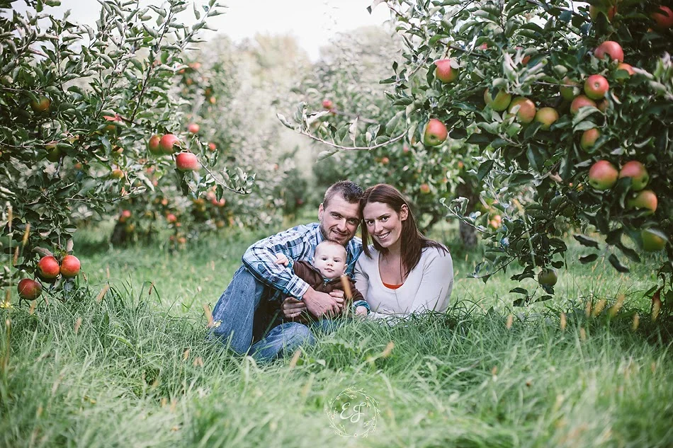 Behling Orchard.jpg