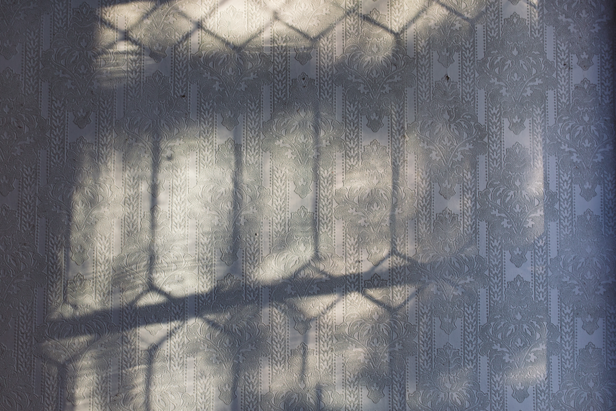 29/366 | "Thoughts are the shadows of our feelings- always darker, emptier, and simpler." -Nietzsche