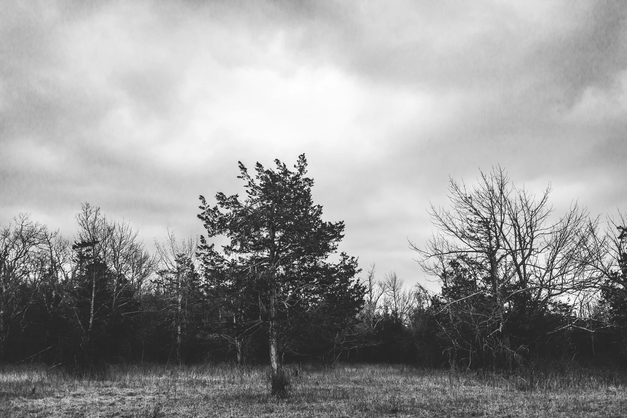 37/366 | Location scouting was a bust. 