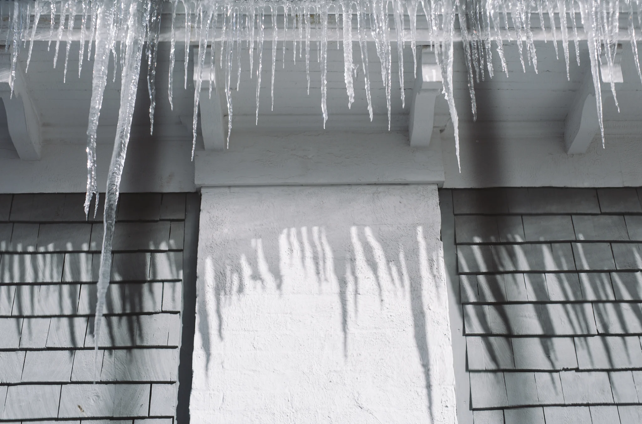 48/366 | Winter forever