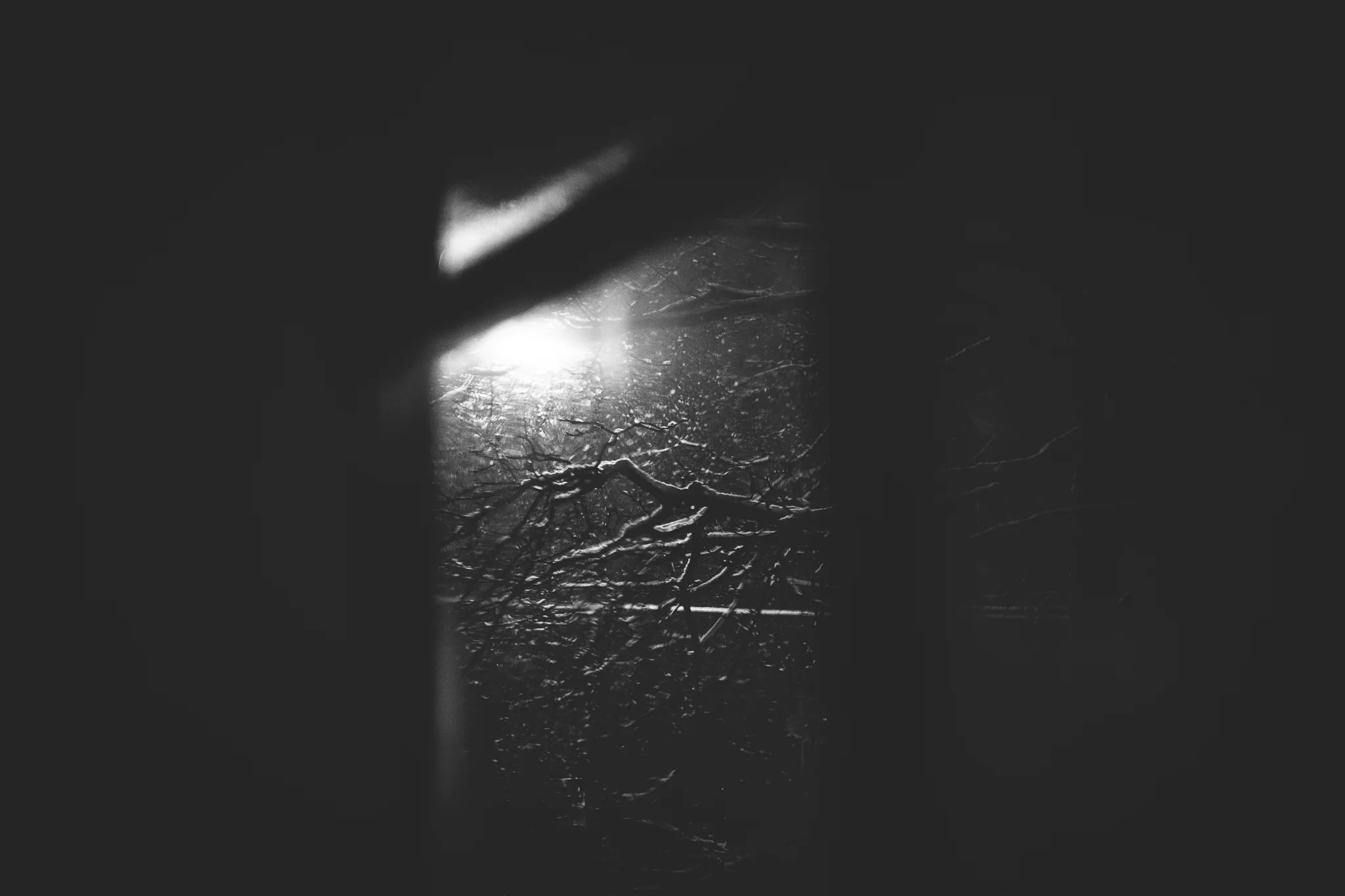 47/366 | Much ice