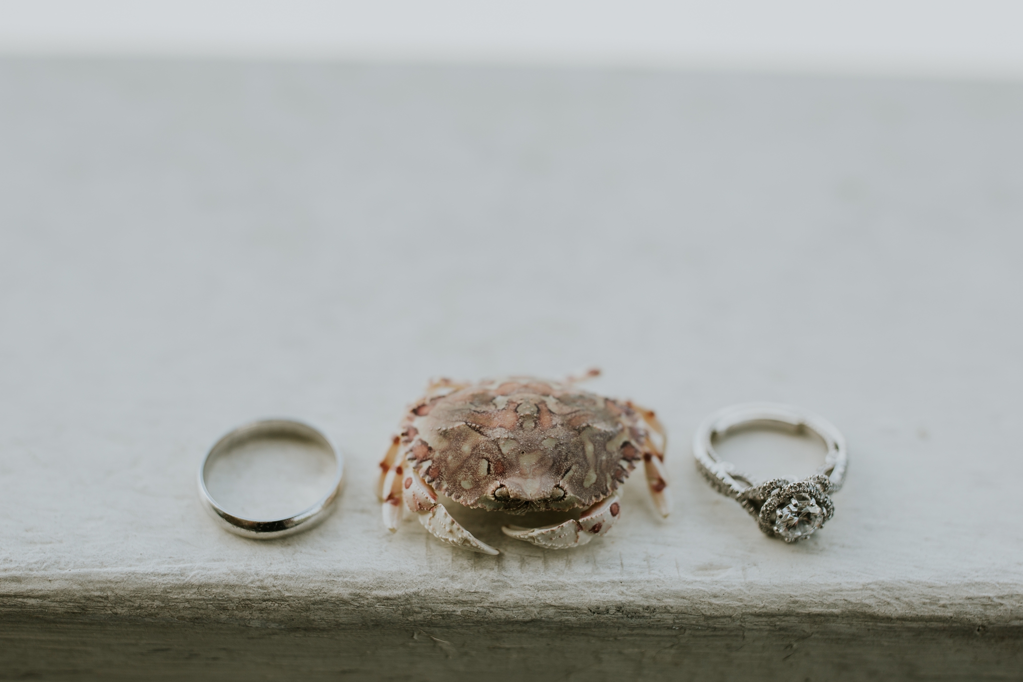 west-point-engagement-session_0475.jpg