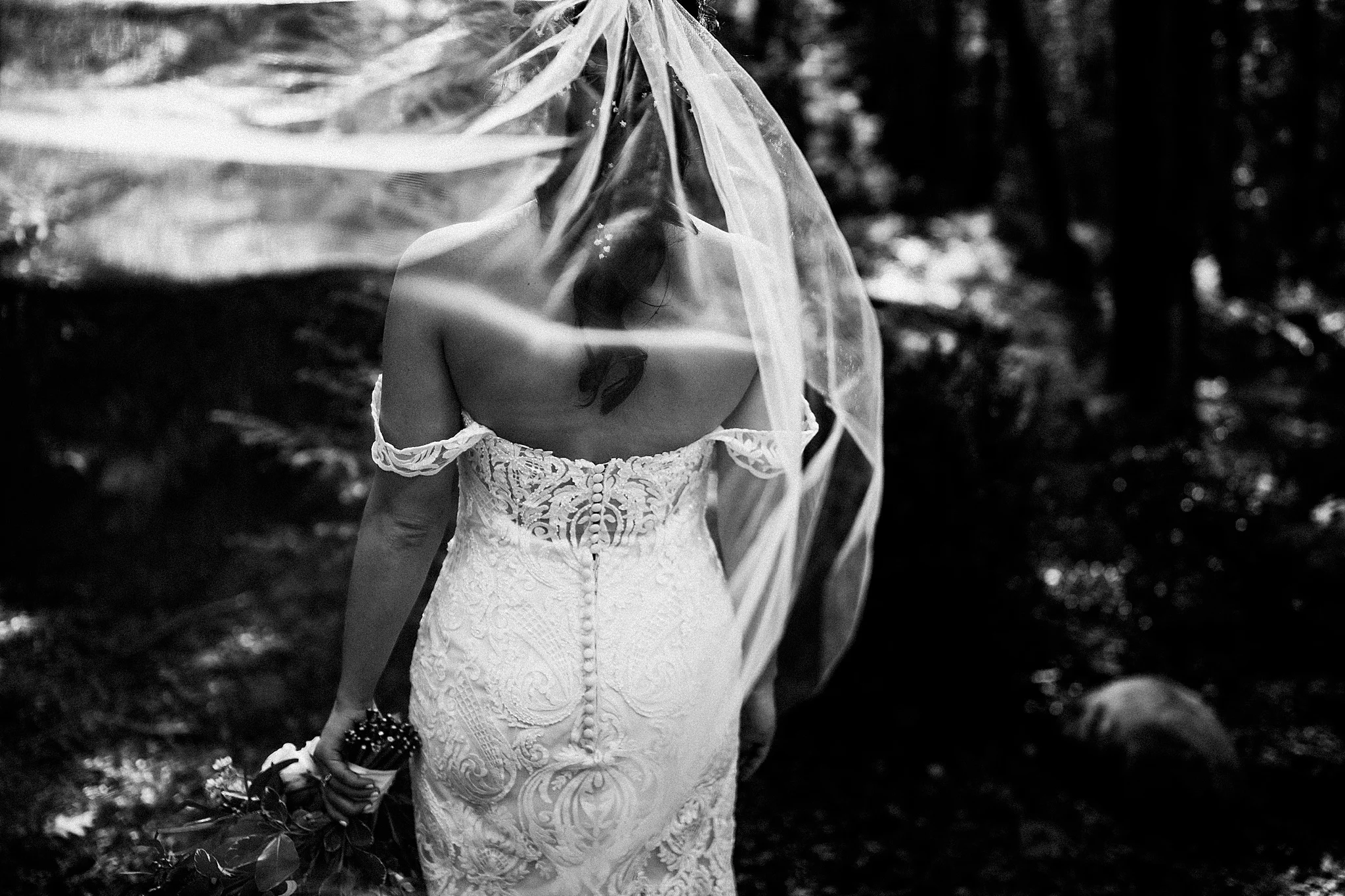 asheville-NC-wedding_0224.jpg