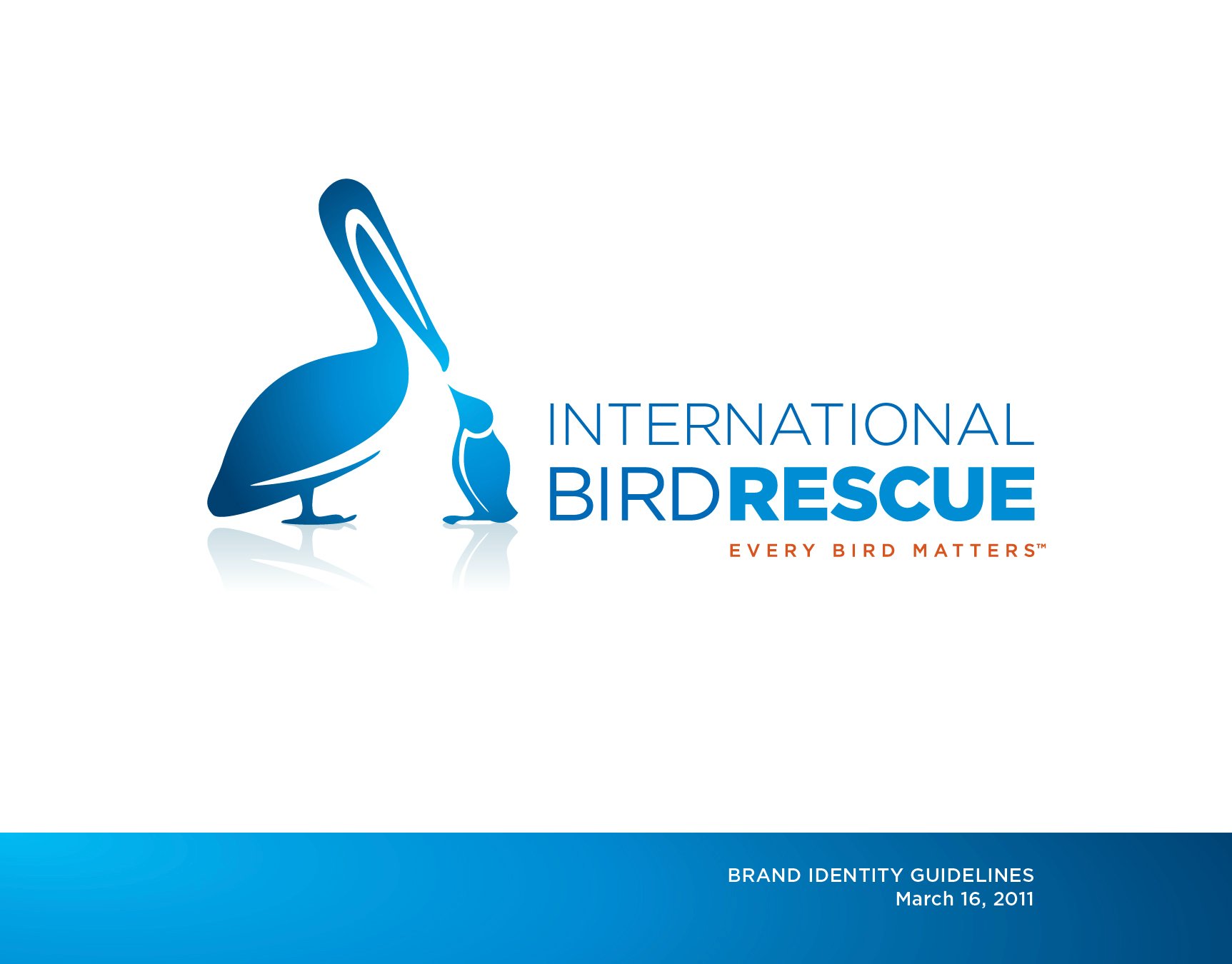 InternationalBirdRescue_Guidelines-01.jpeg