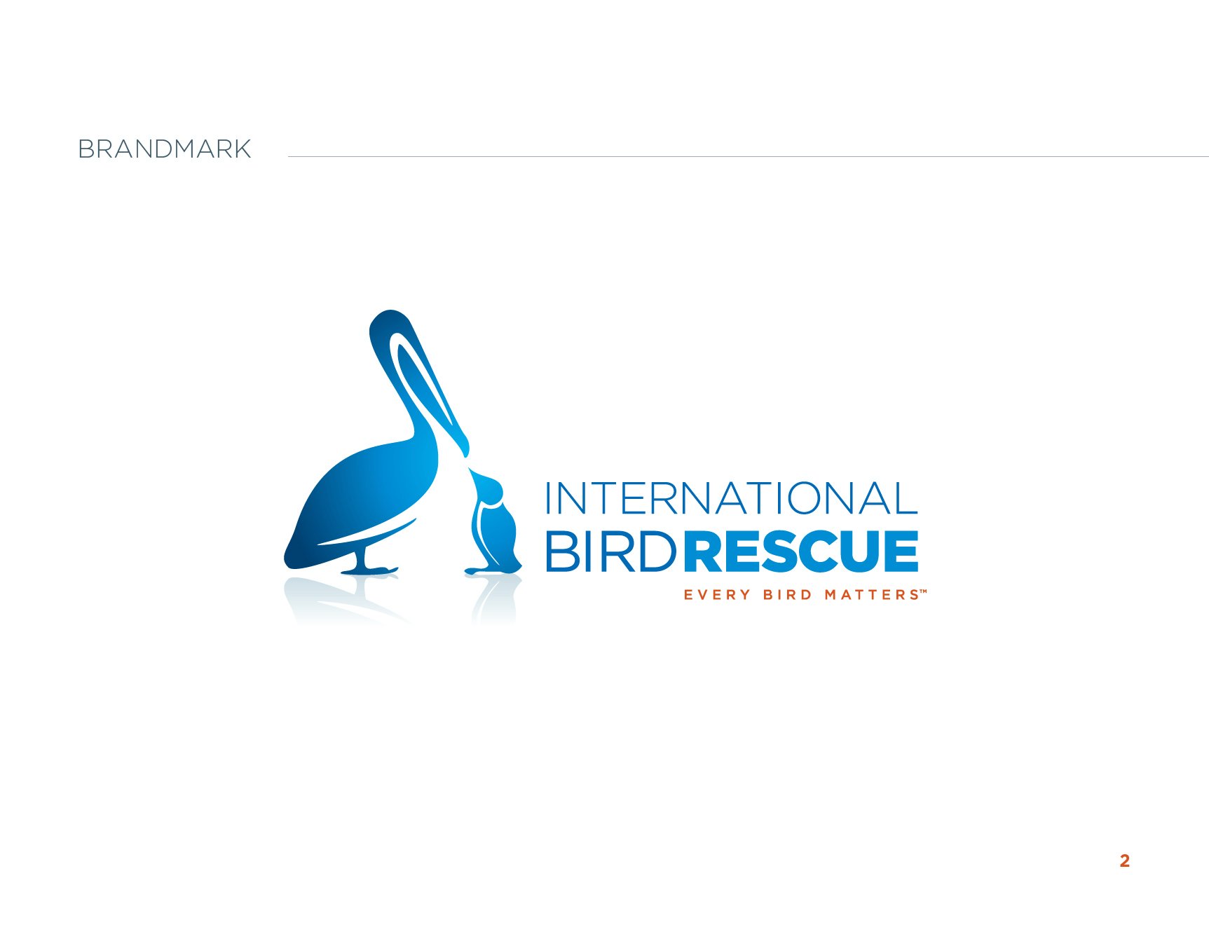 InternationalBirdRescue_Guidelines-04.jpeg