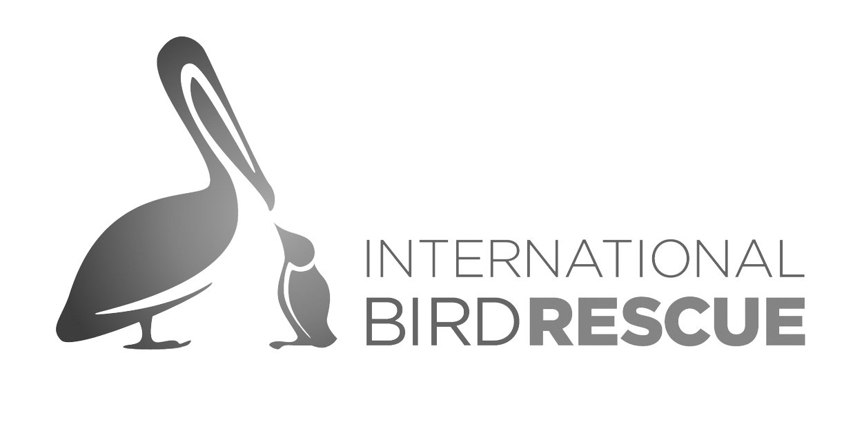 International-Bird-Rescue-1.png