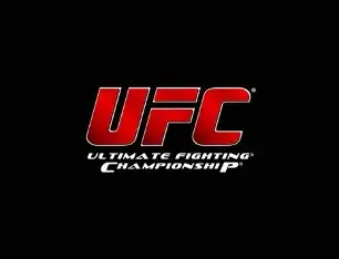 UFC 331