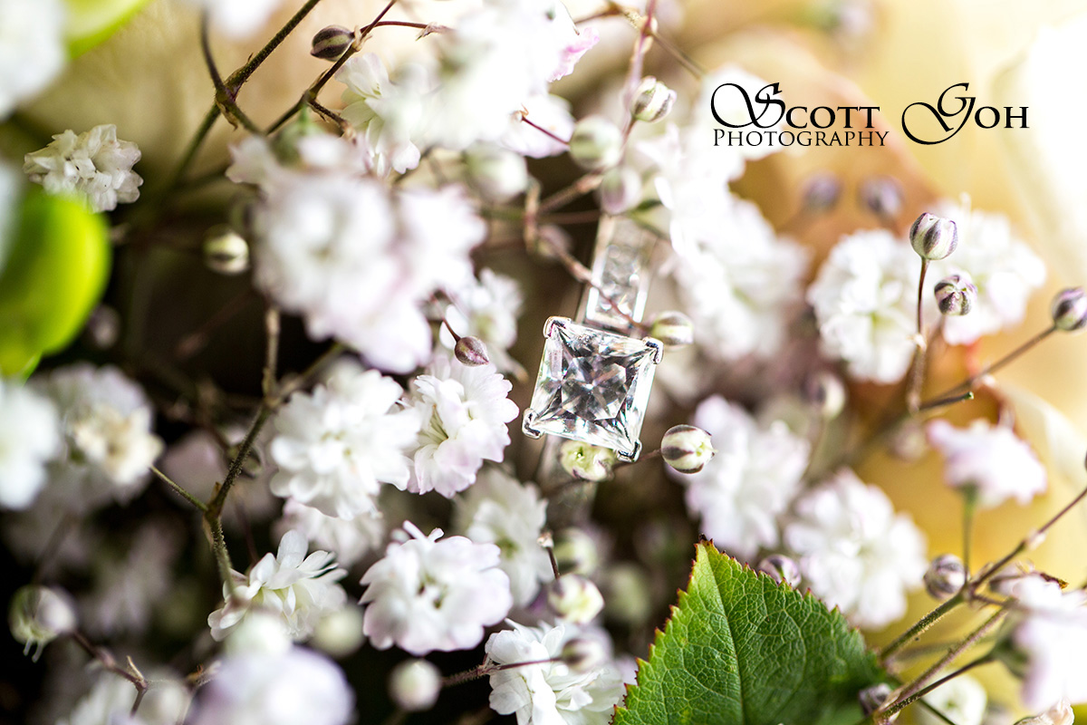 Comprehensive Guide to Wedding Rings / Engagement Rings