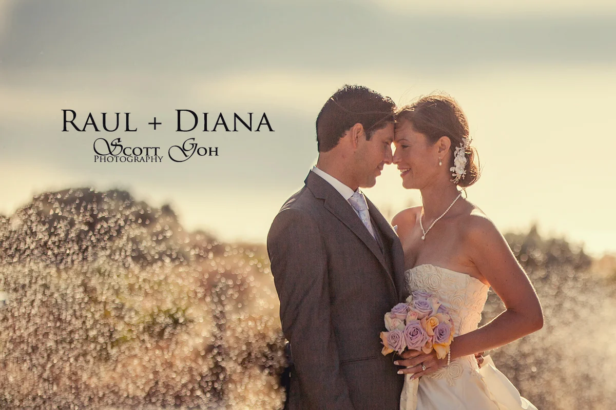 Adelaide Wedding Photographer