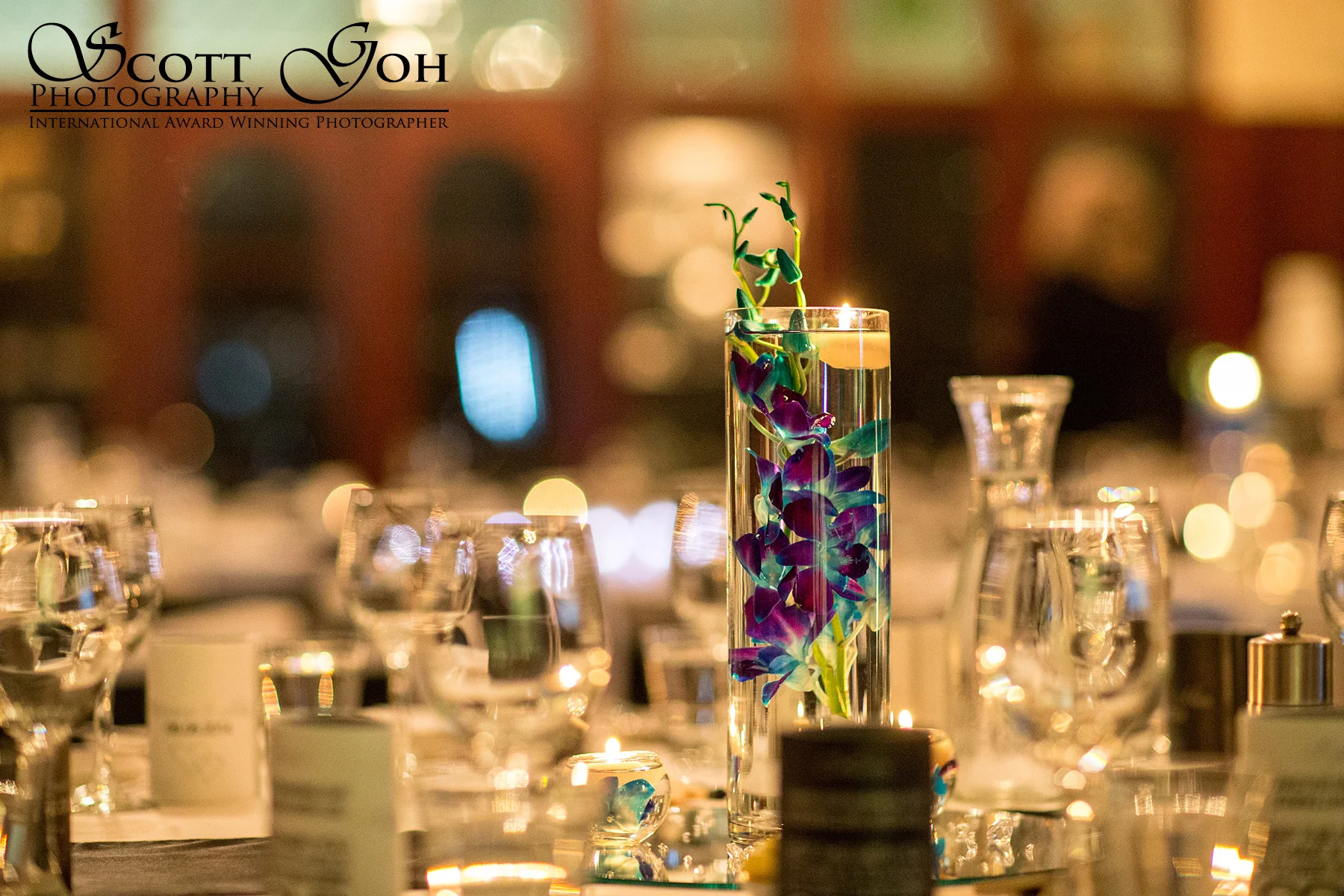 adelaide-wedding-photographer47