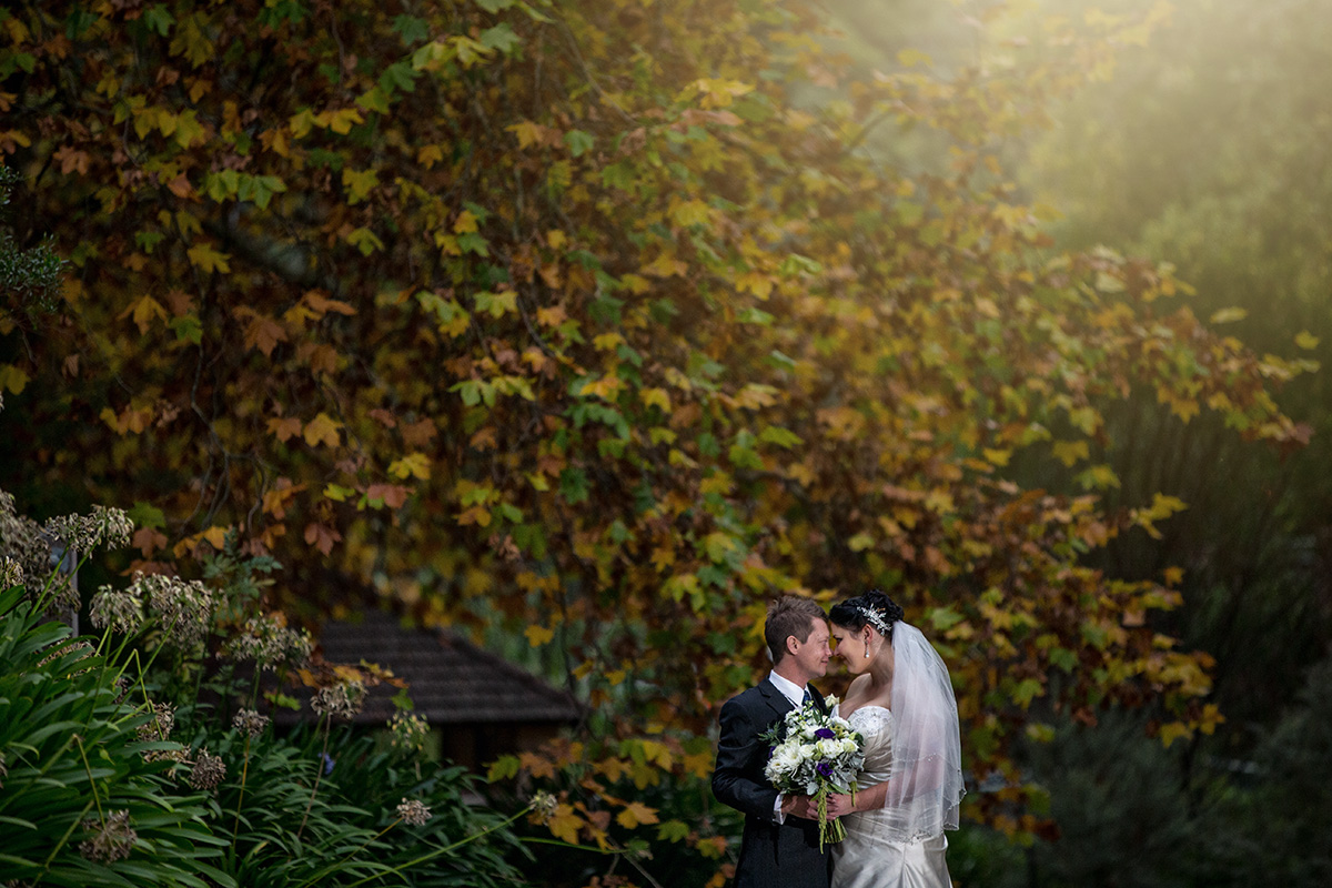 utopia waterfall gully wedding photo