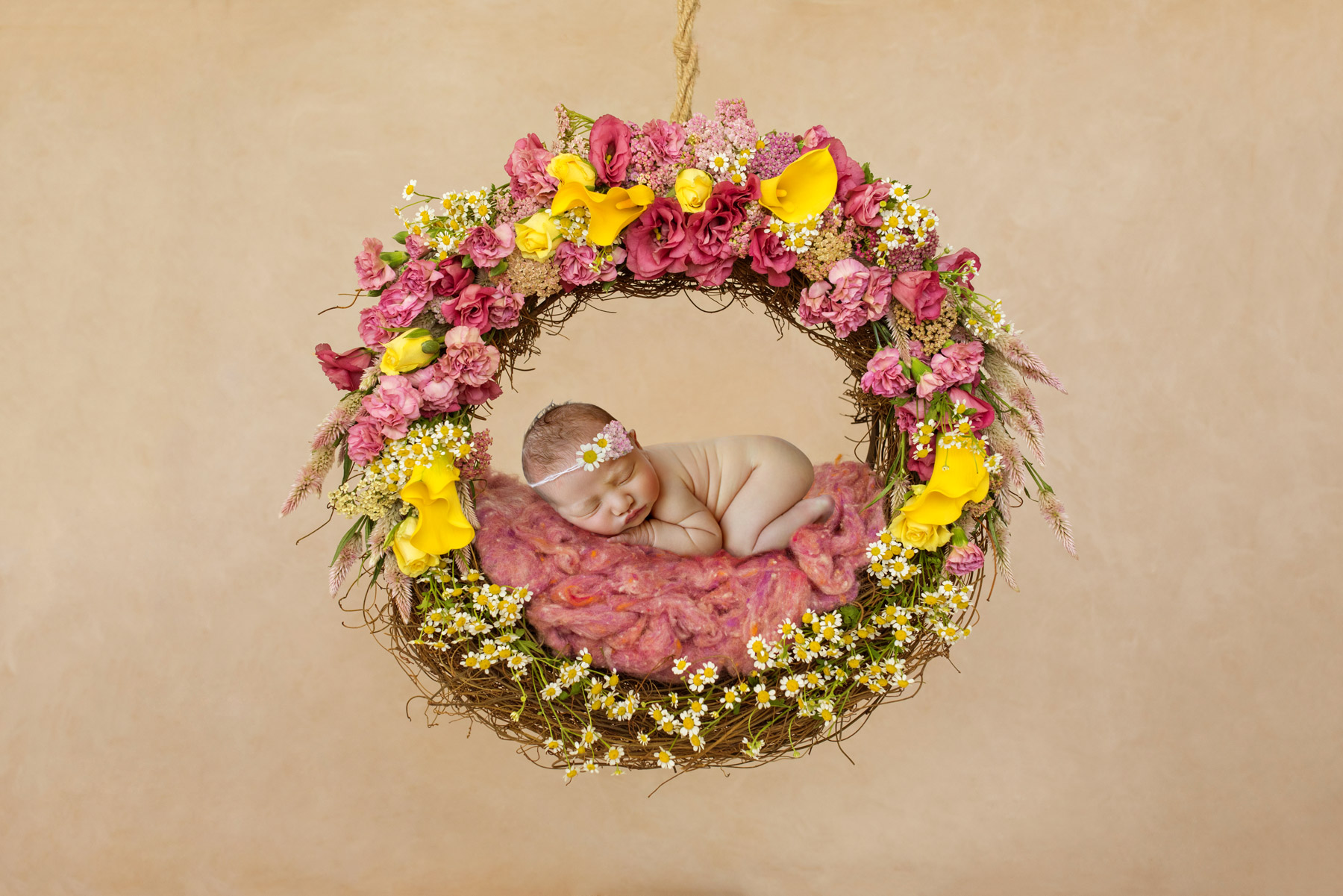 newborn baby photo