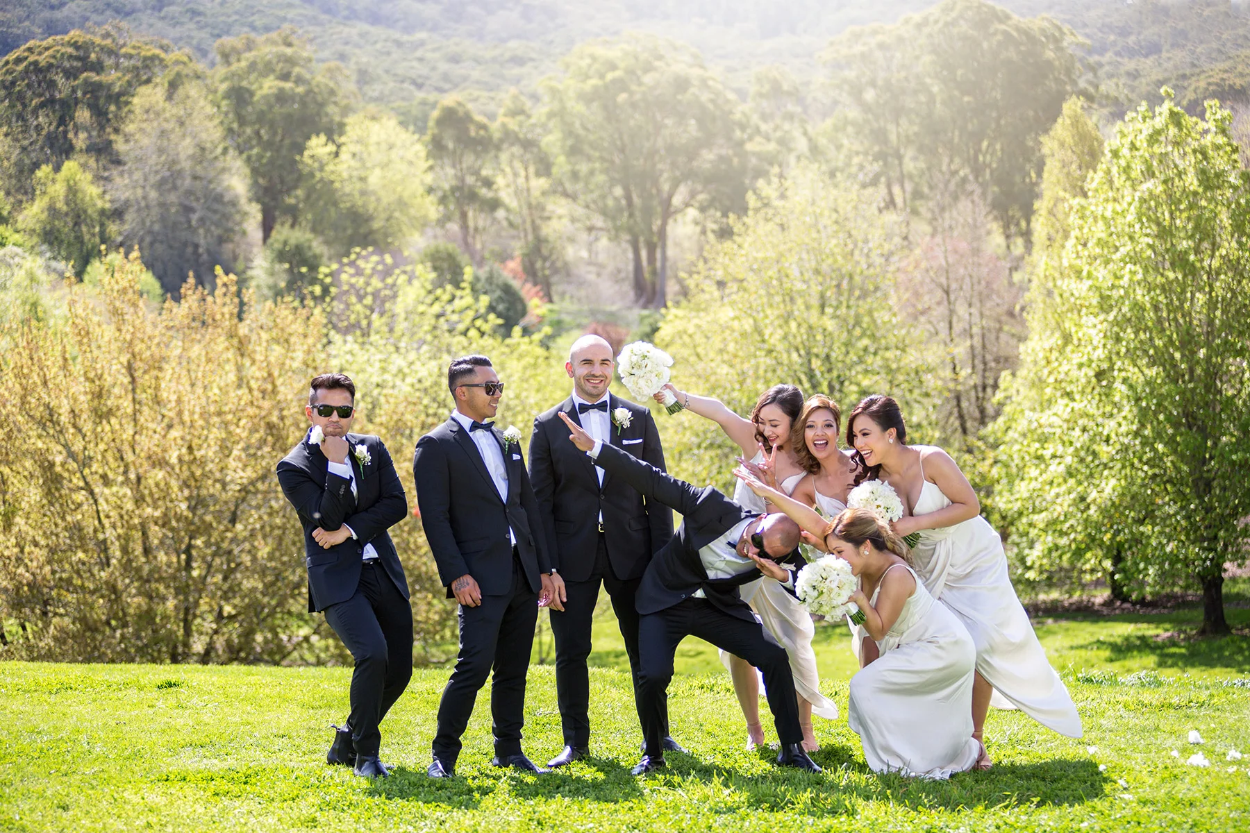 mount lofty botanic gardens crazy