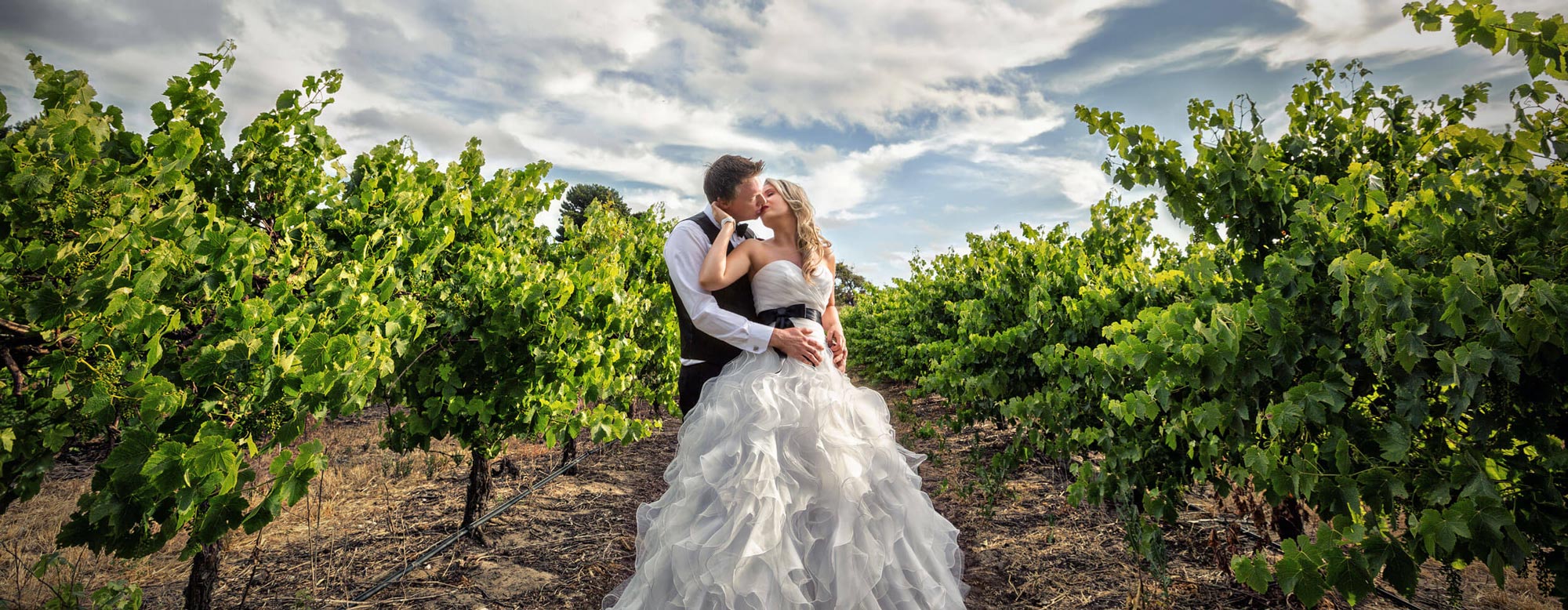 Winery Wedding