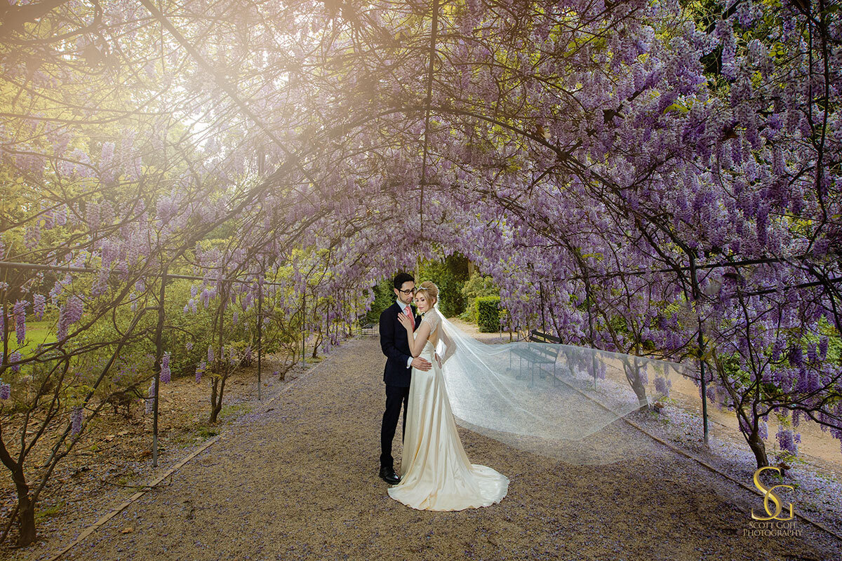 wisteria Adelaide wedding photo