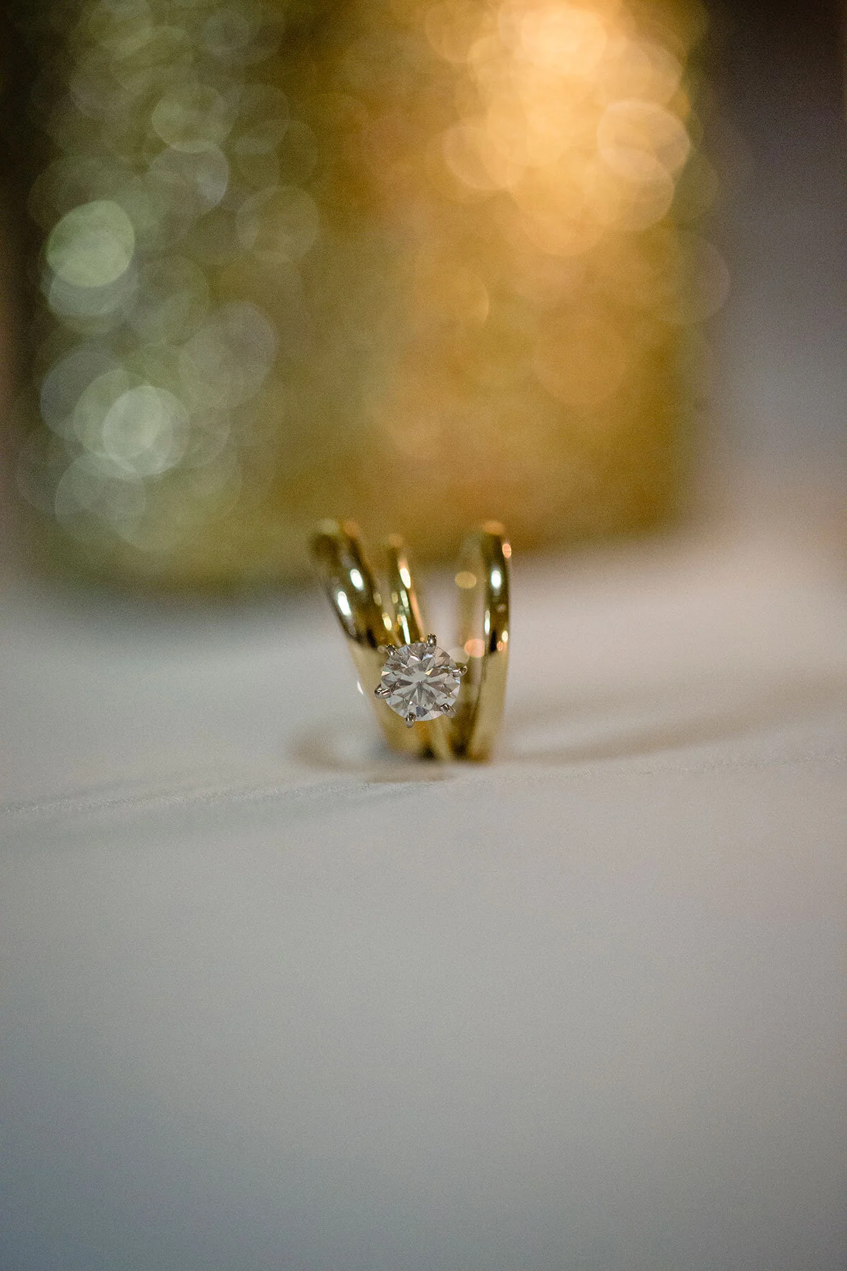 Ayers house wedding 0013.jpg