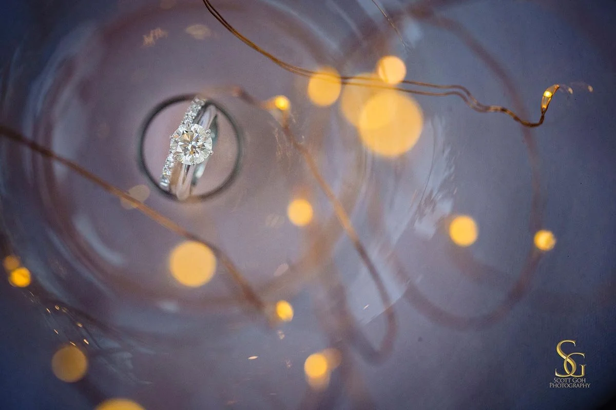 Adelaide Botanic Garden Wedding 0023.jpg