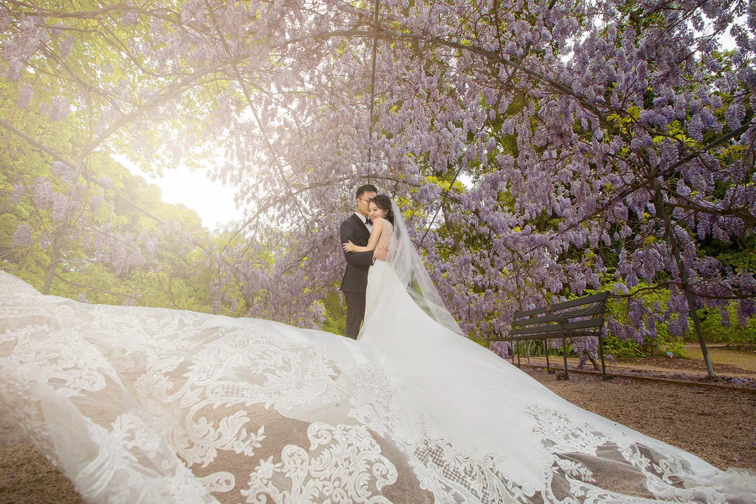 botanic garden wisteria wedding