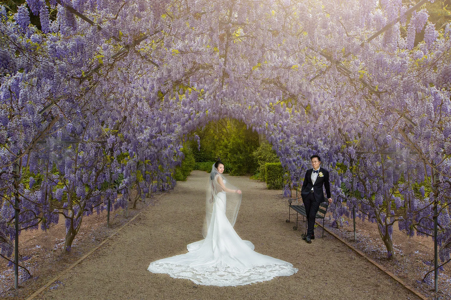 Adelaide botanic garden wedding 