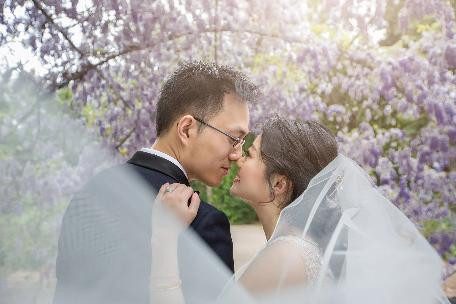 wisteria flower wedding adelaide