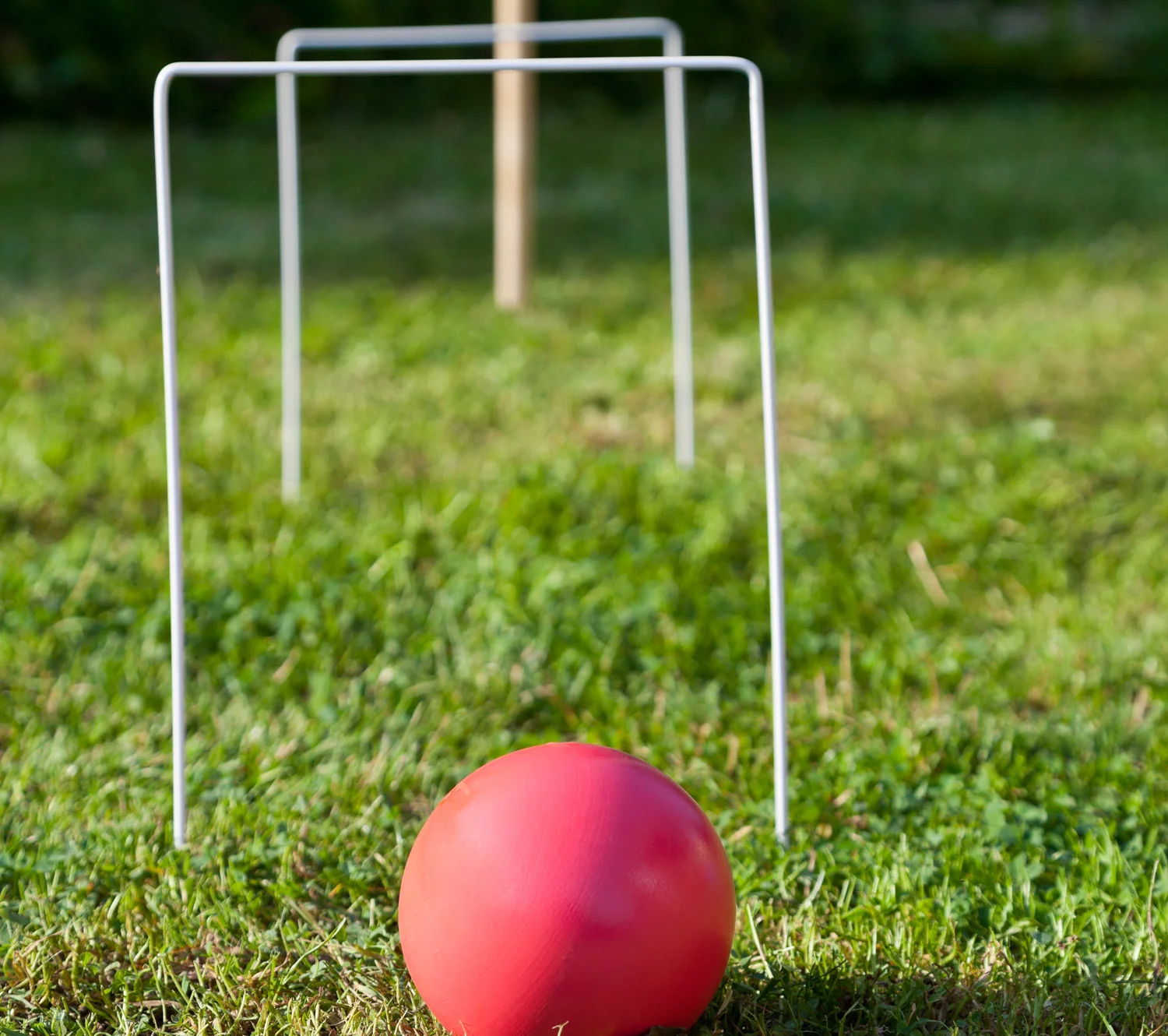shutterstock_150419615.jpg