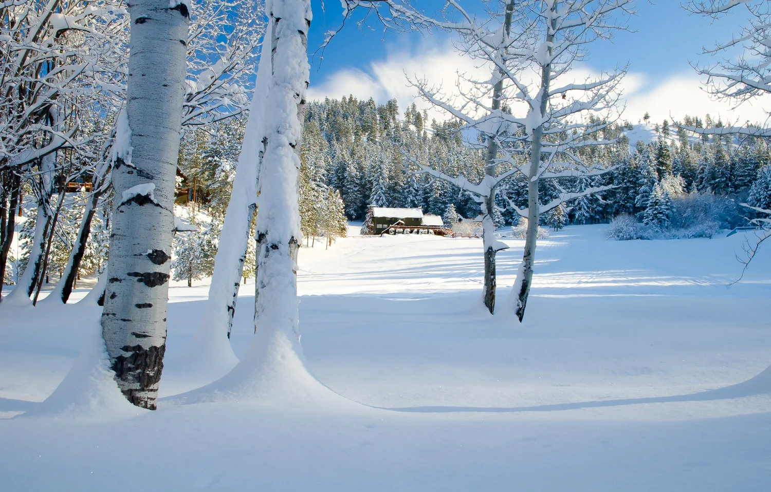 Unmatched Pristine Beauty