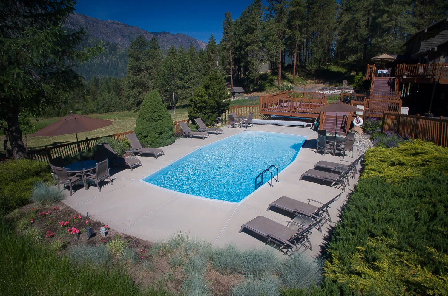 Millie's mumblings...