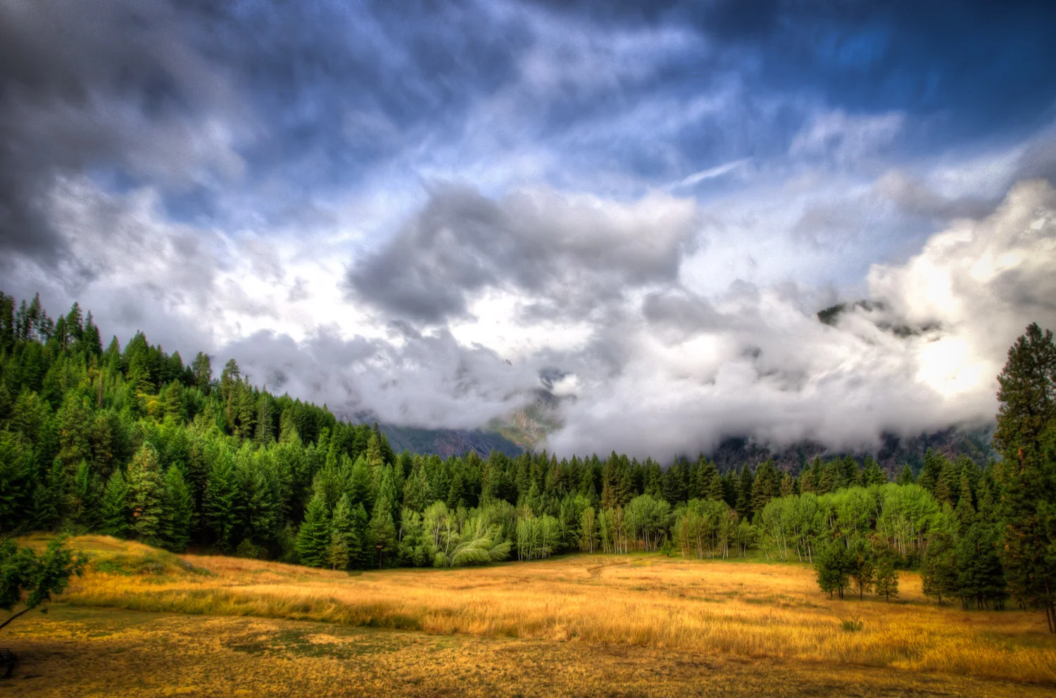 Fall is in the air... finally!