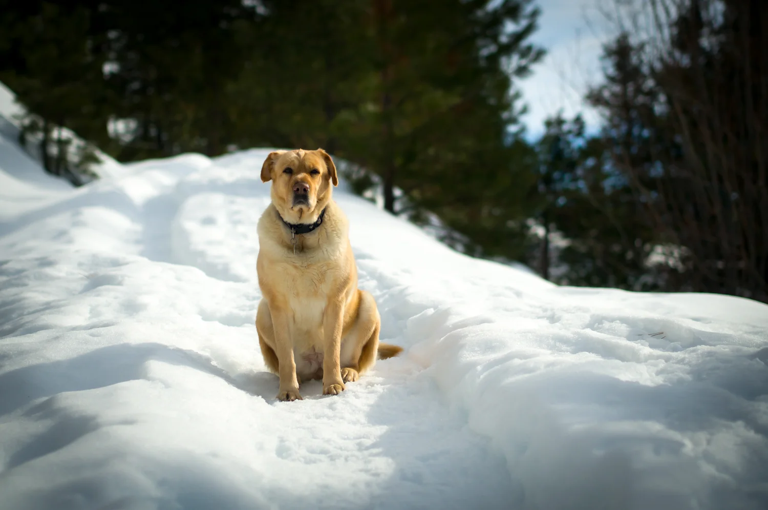 Come on over and play with me!