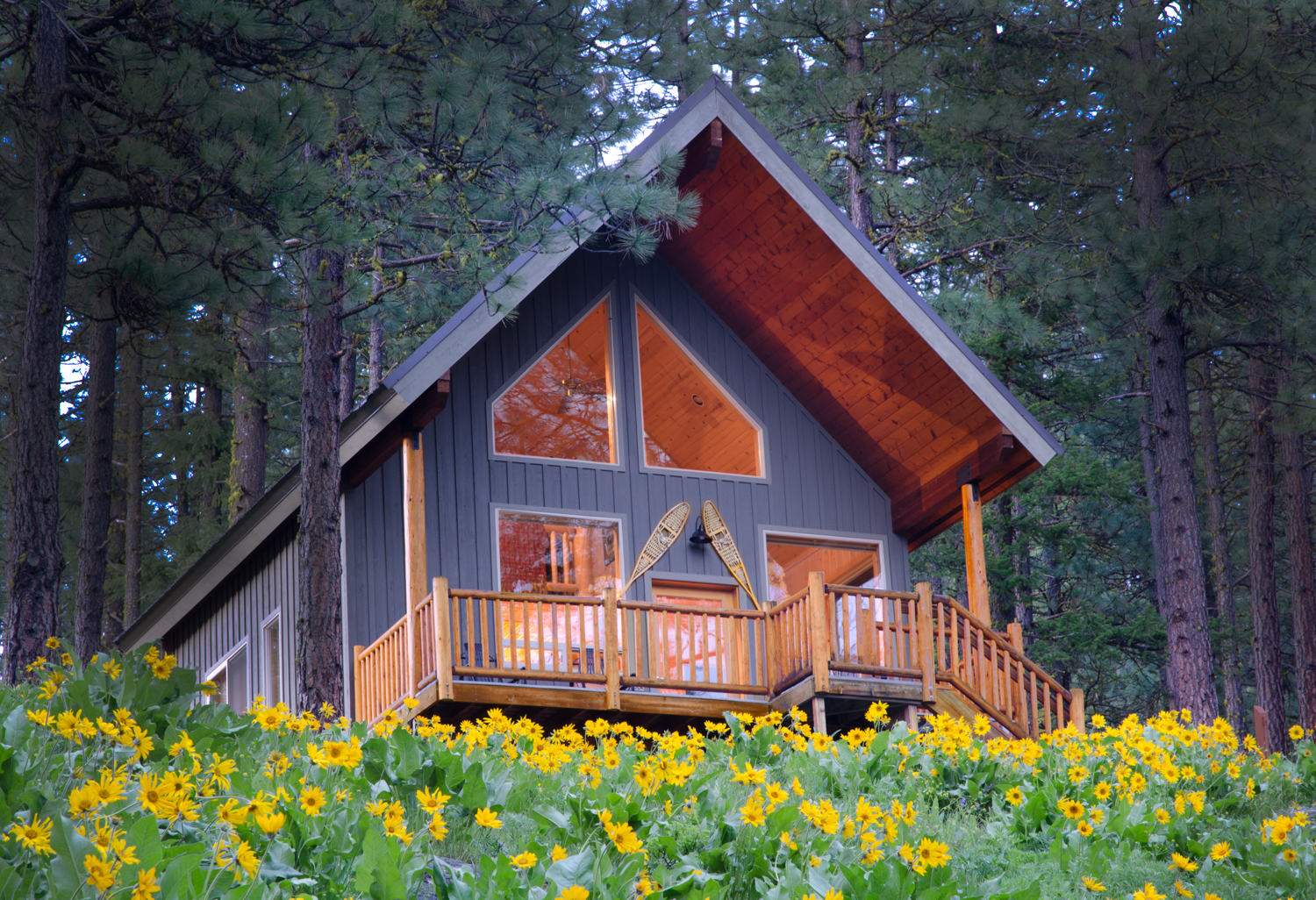 Cabin Ponder Rock